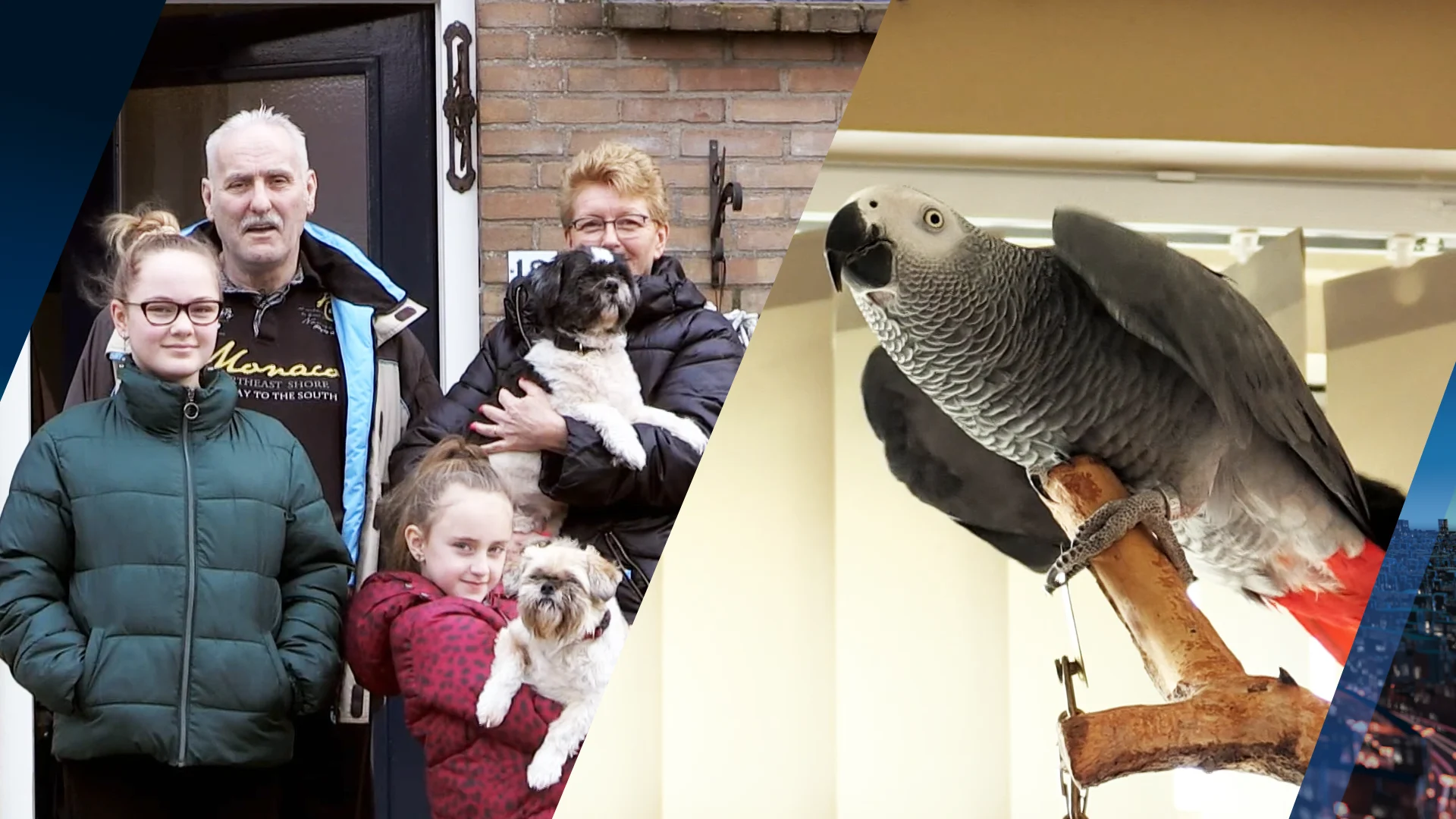 Beestenboel bij arm gezin in Steenrijk, Straatarm: 'Hoe betalen ze dat?'