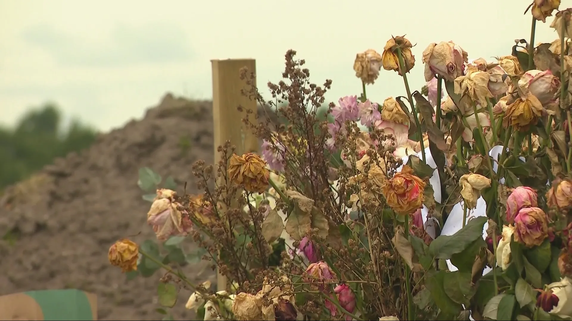Wandelaars stuiten op menselijk graf op braakliggend terrein bij Almere