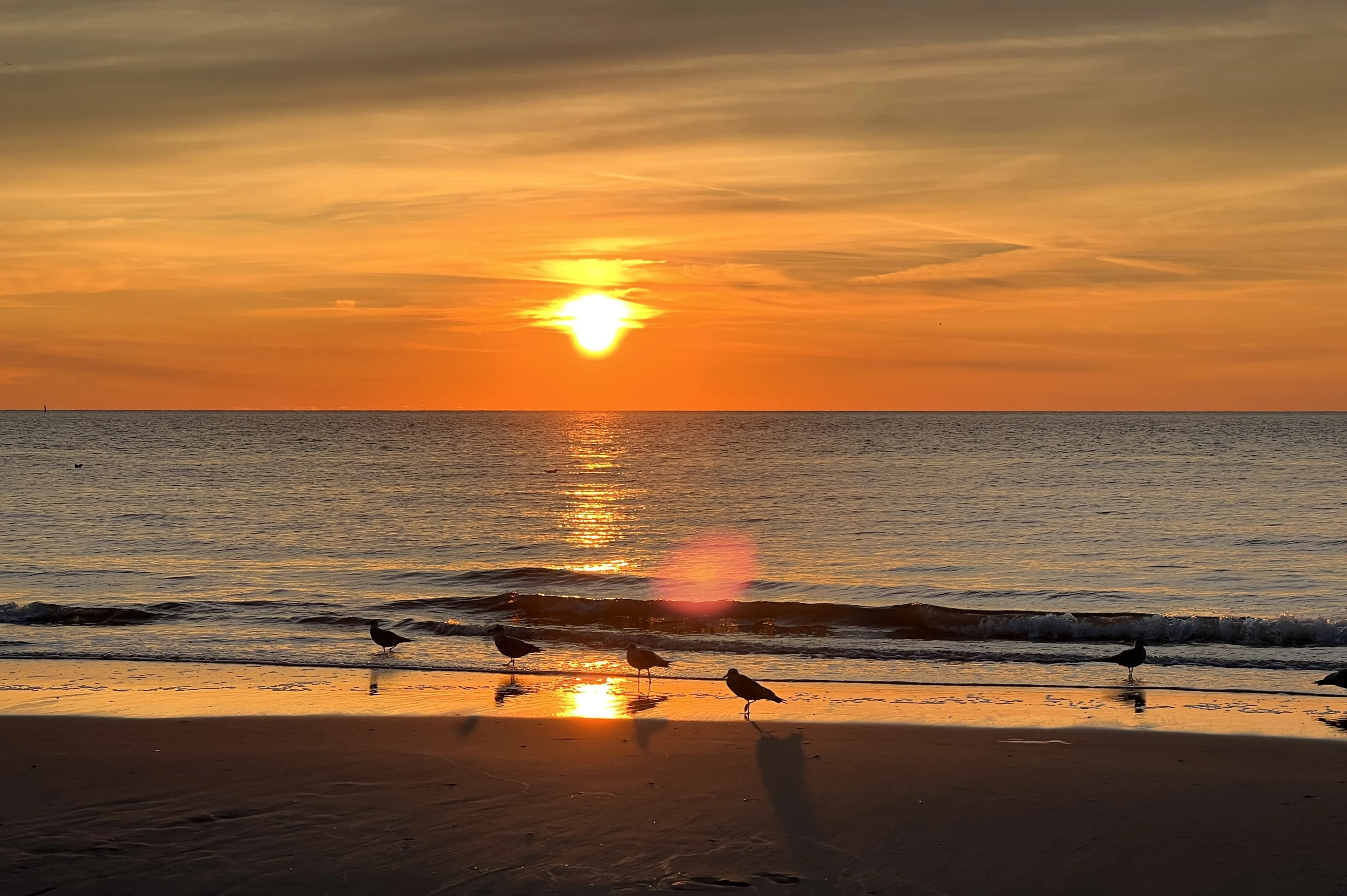 Geniet van laatste zomerse weekend: herfst staat voor de deur