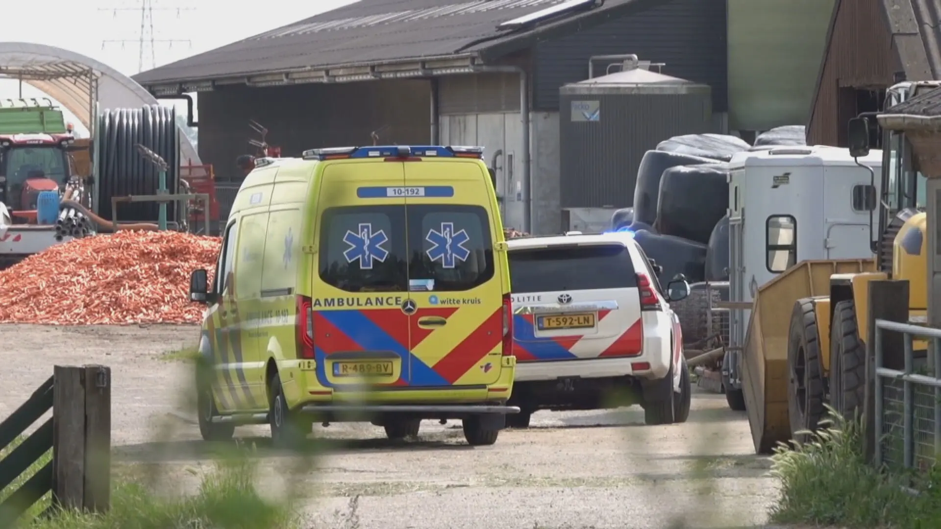 Man dood na aanval door stier in Stompetoren