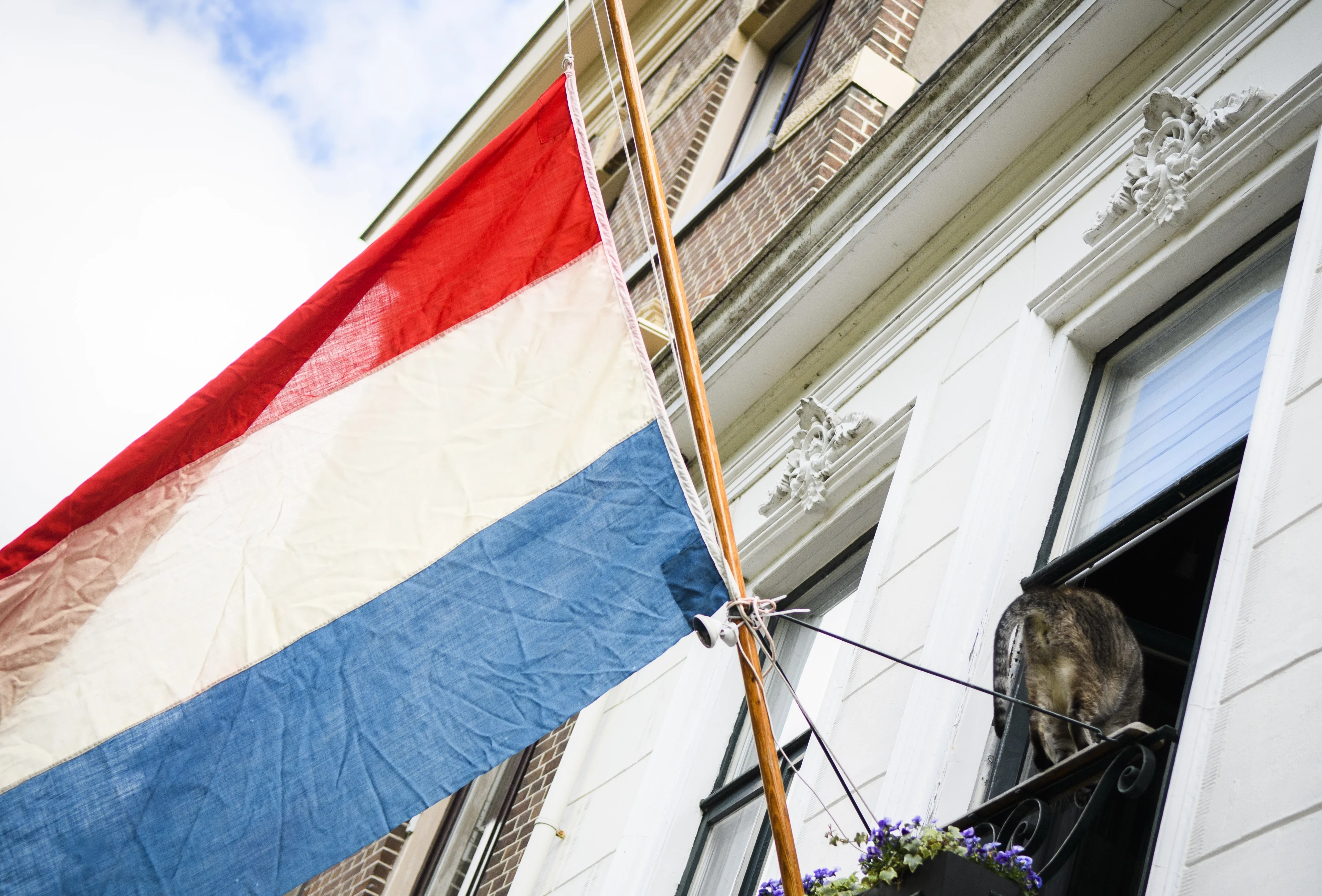 Nederlandse driekleur wappert goed tijdens coronacrisis