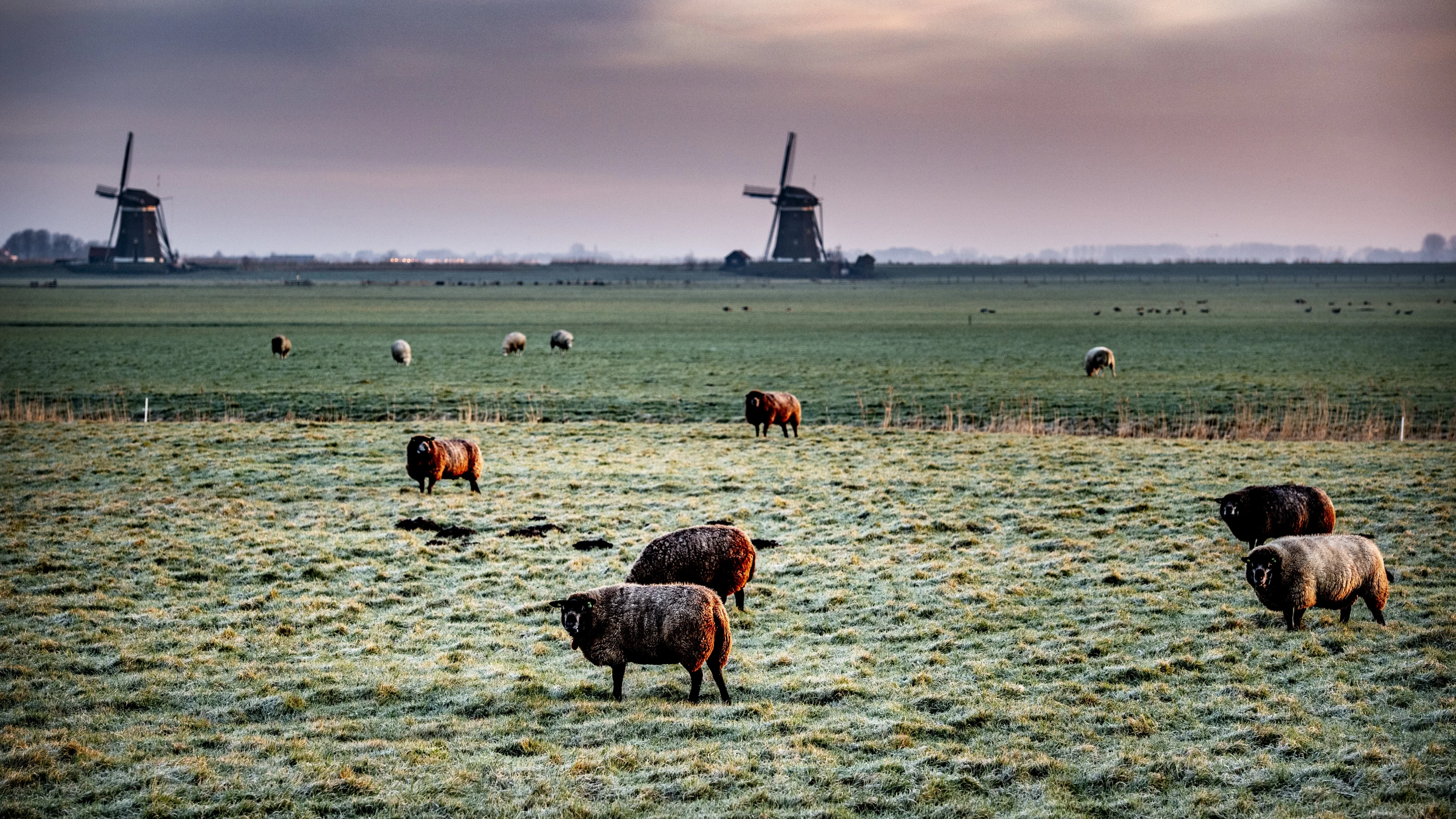 Bevrijdingsdag met zon én kou, zelfs kans op vorst vannacht