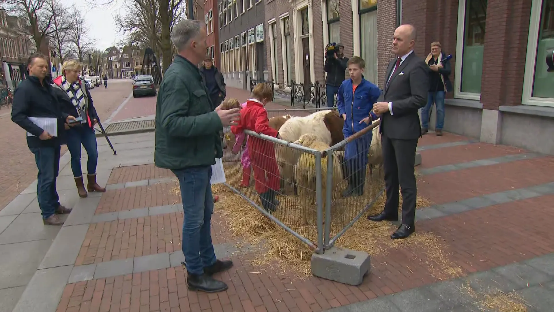 Friese boeren dienen petitie in voor wolvenhek om provincie: 'We willen ellende voorkomen'