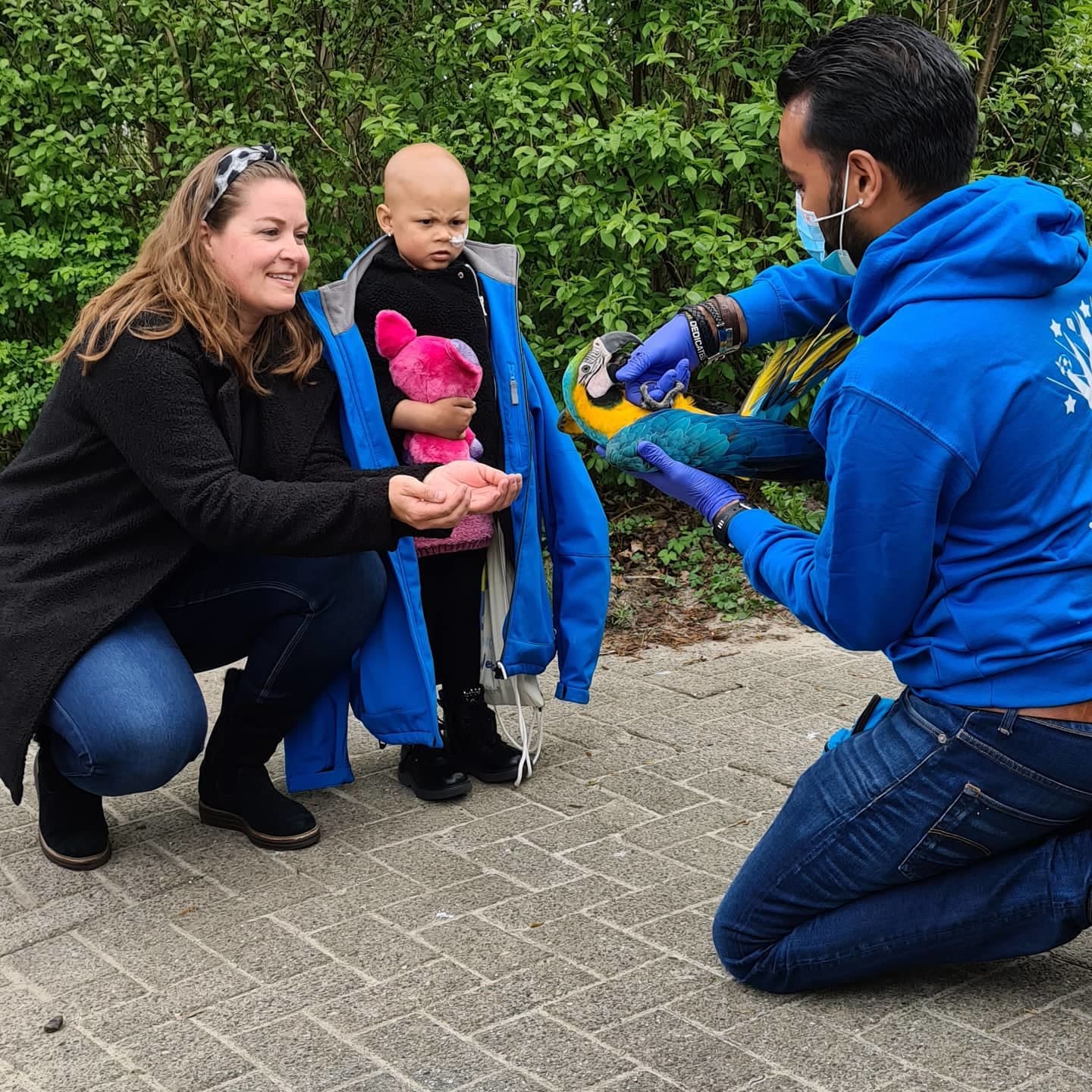 Zieke Eva (3) verrast met bezoek van papegaai en limousine vol knuffels
