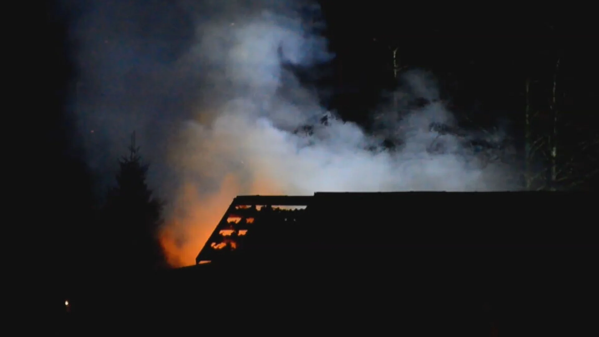 Veertien paarden omgekomen bij stalbrand in het Limburgse Koningslust