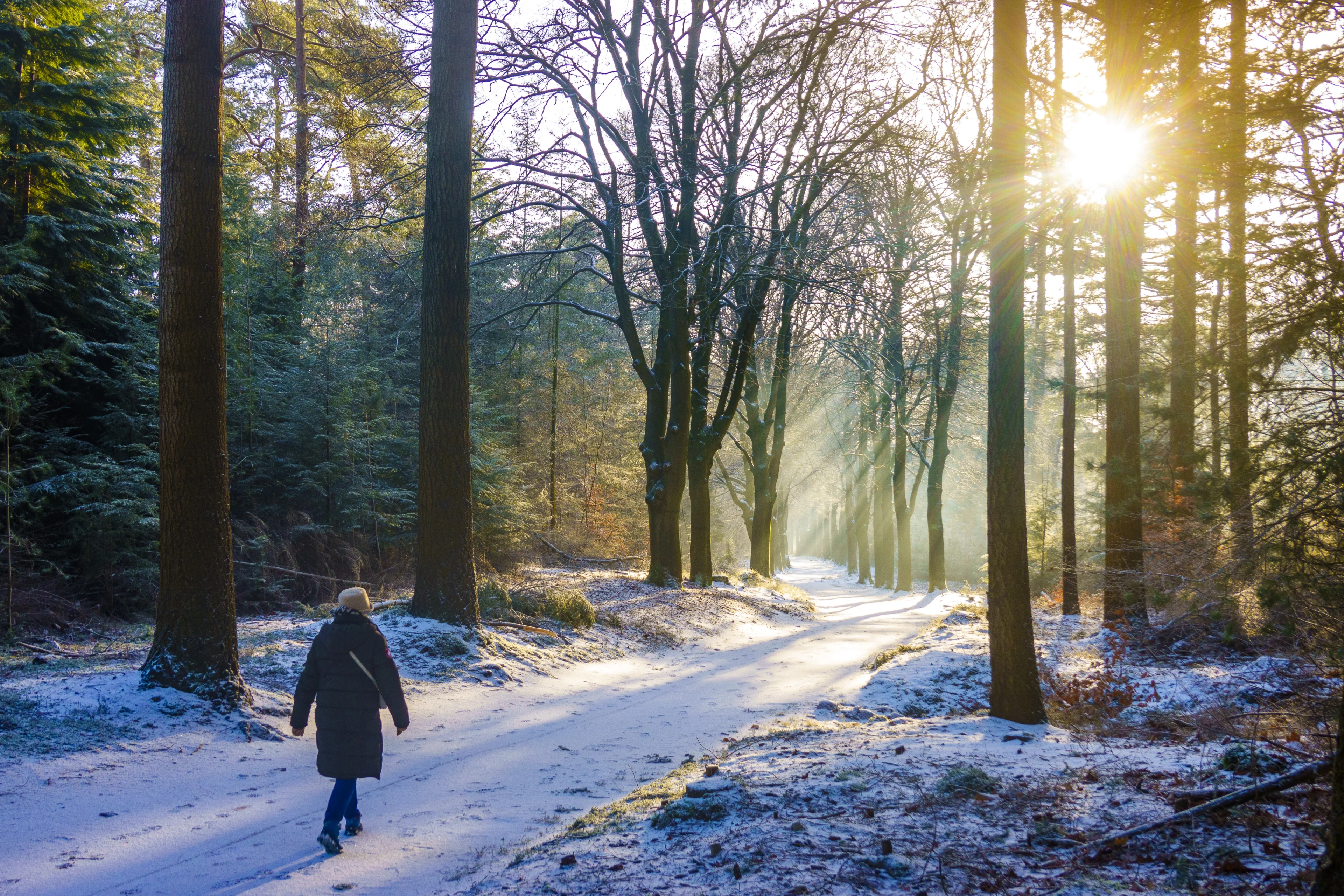 IJzige wind op komst: kouder weer en sneeuwbuitjes op de loer
