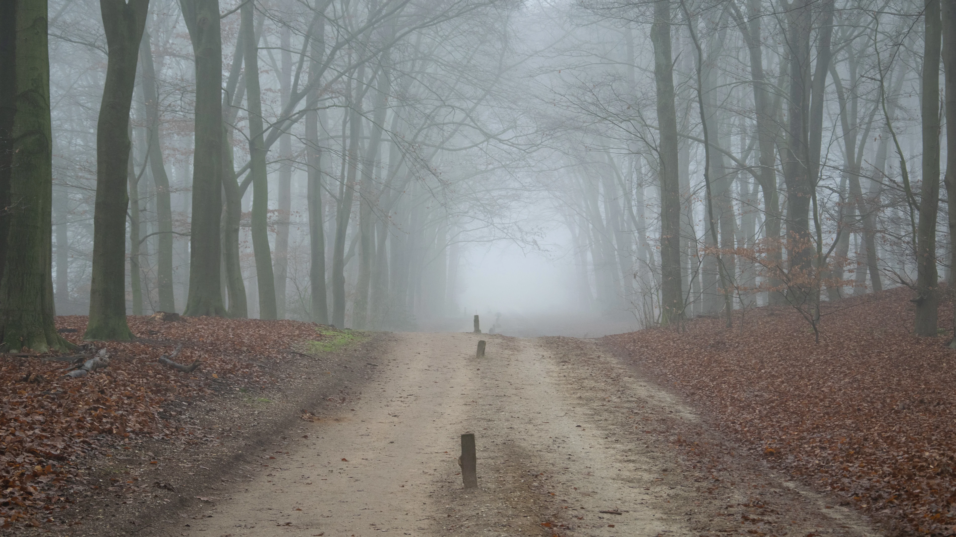 Zo trekt het weer deze week over Nederland: mist, regen en zachte lucht