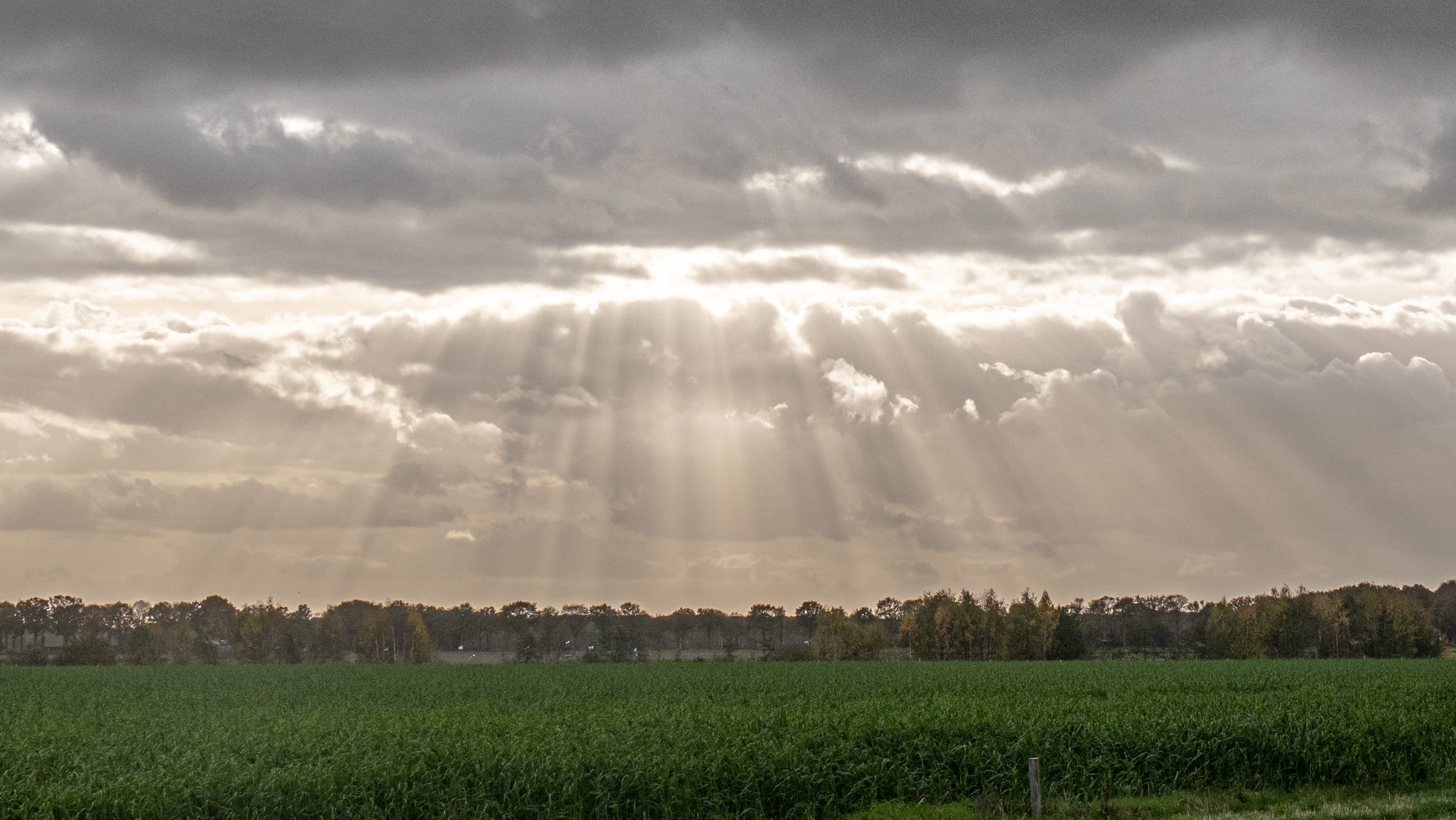 Wolkenvelden, buitjes en korte zonmomenten