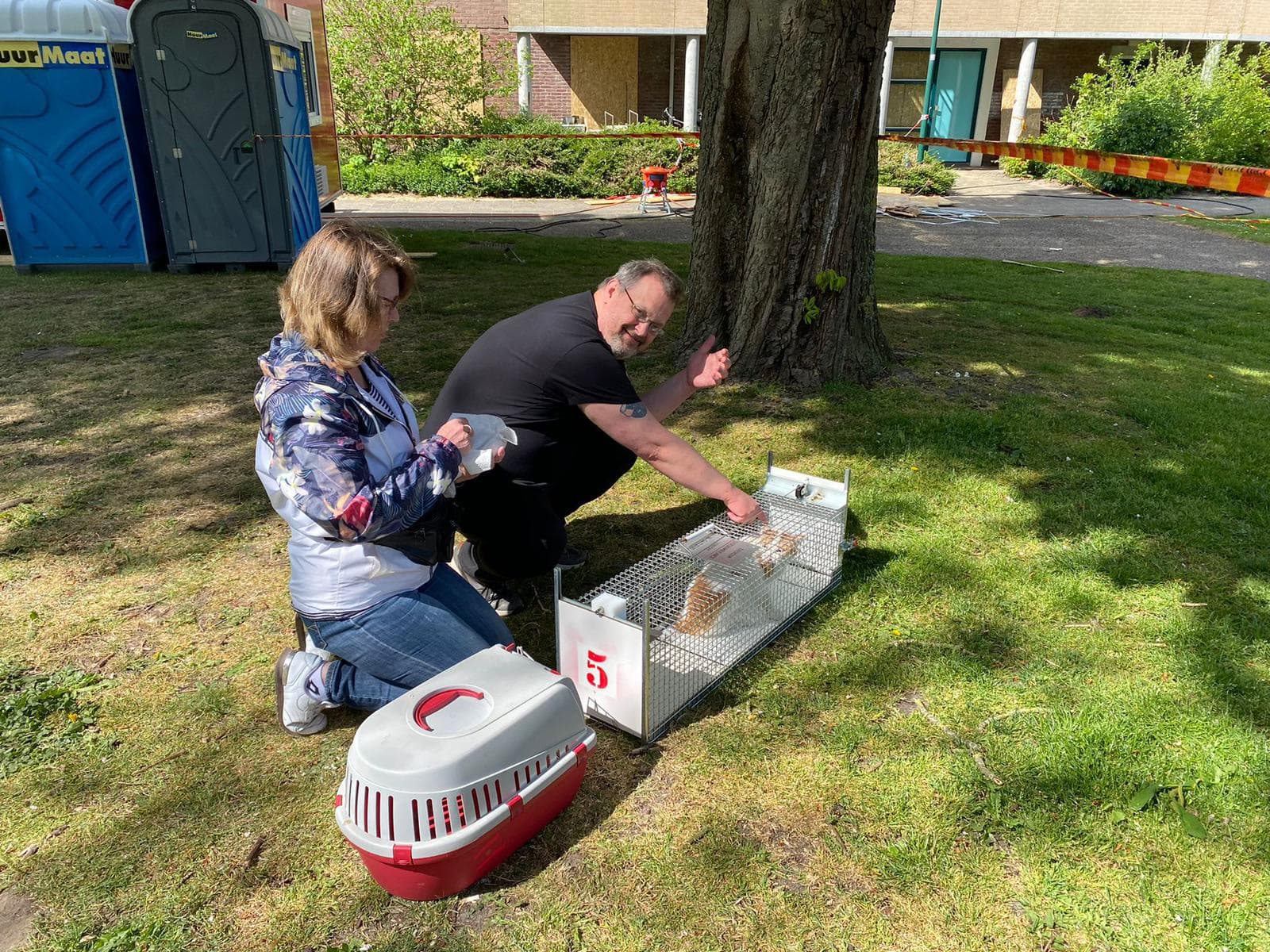 Vermiste katten Morris en Gompie gered uit verwoeste flat in Bilthoven