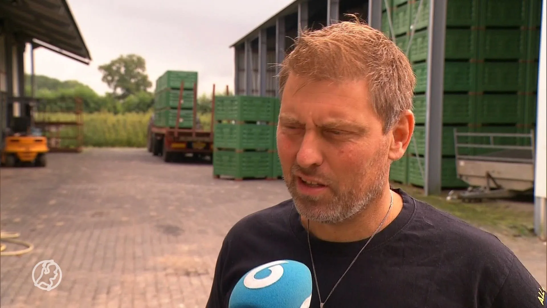 'Groot natuurplan van tafel: kabinet trekt stekker uit stikstofaanpak provincies'