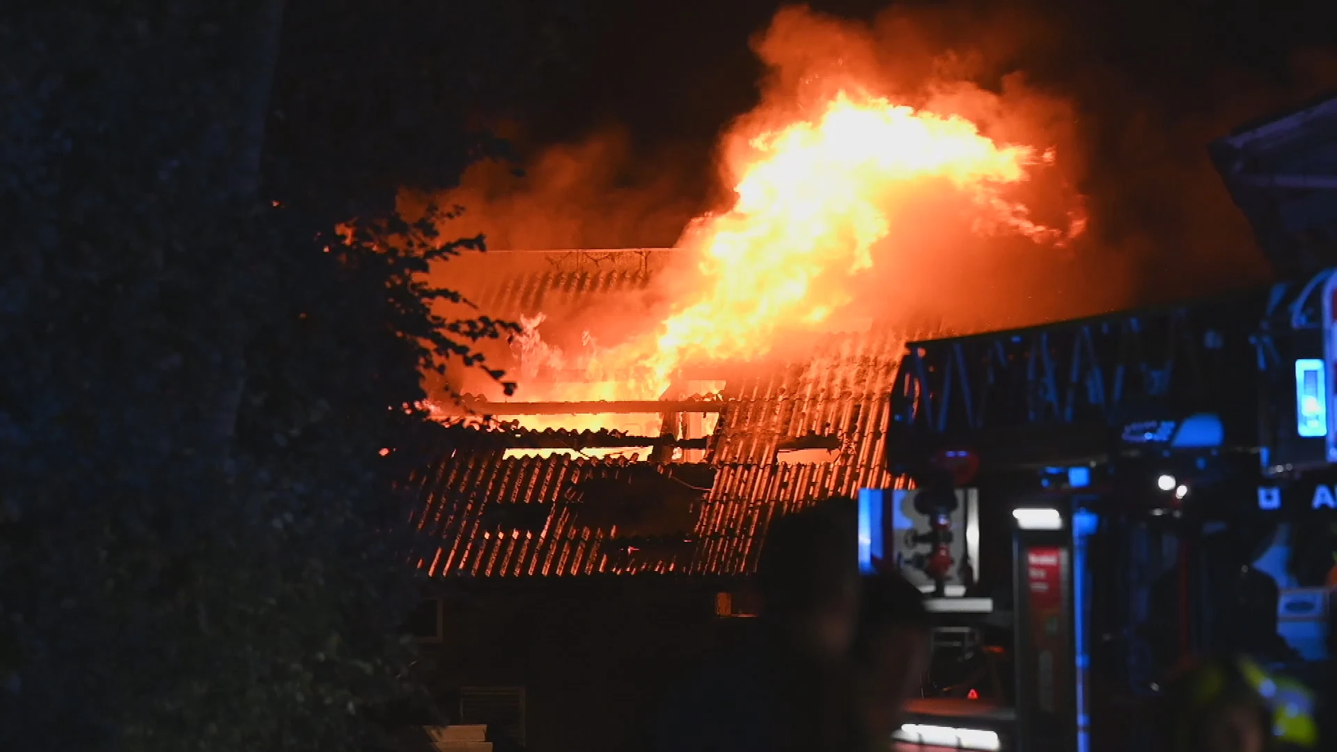 Uitslaande brand in koeienstal met honderd dieren in Alphen aan den Rijn