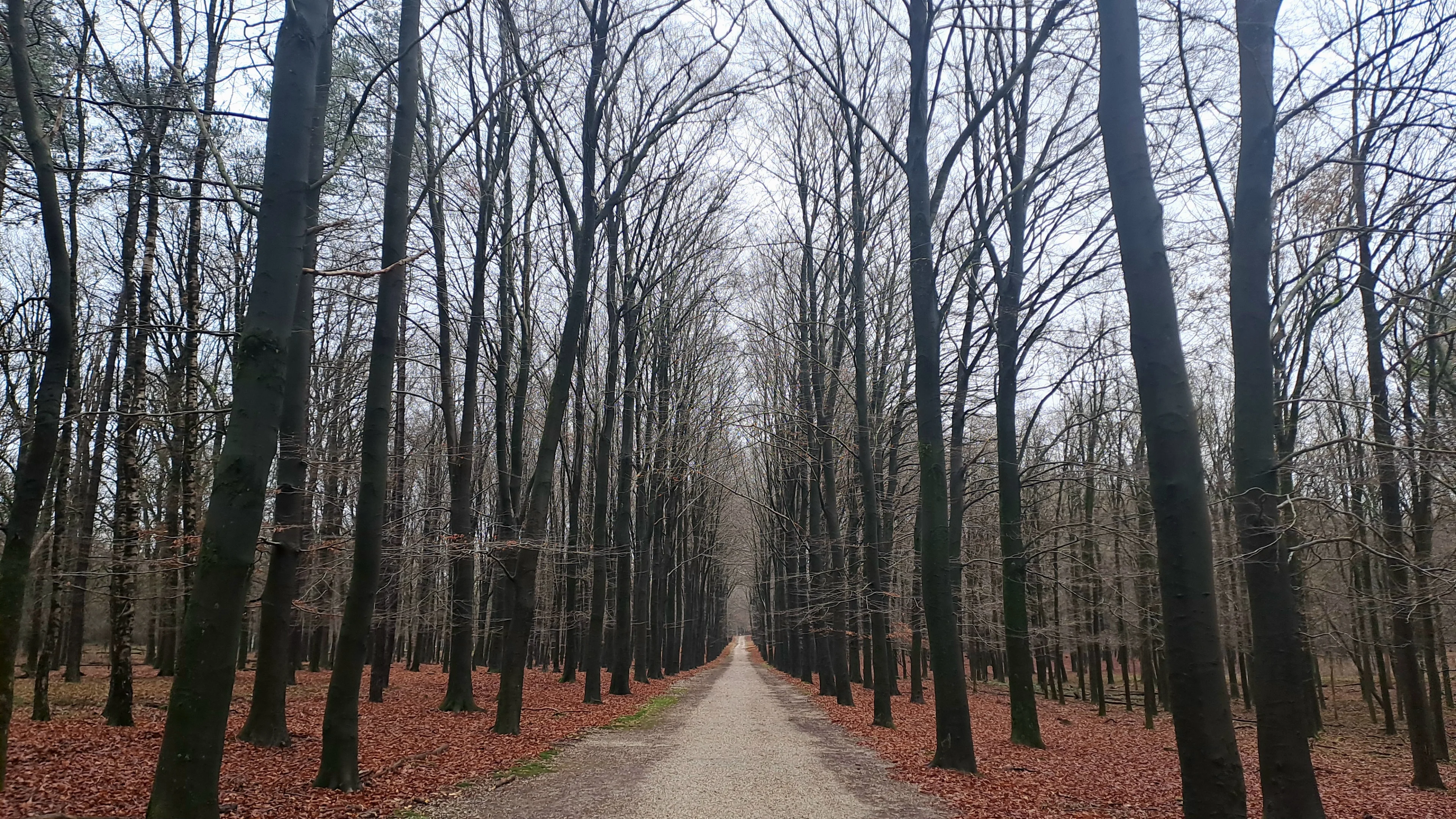 Na somber weekend: kil winterweer op komst richting kerst