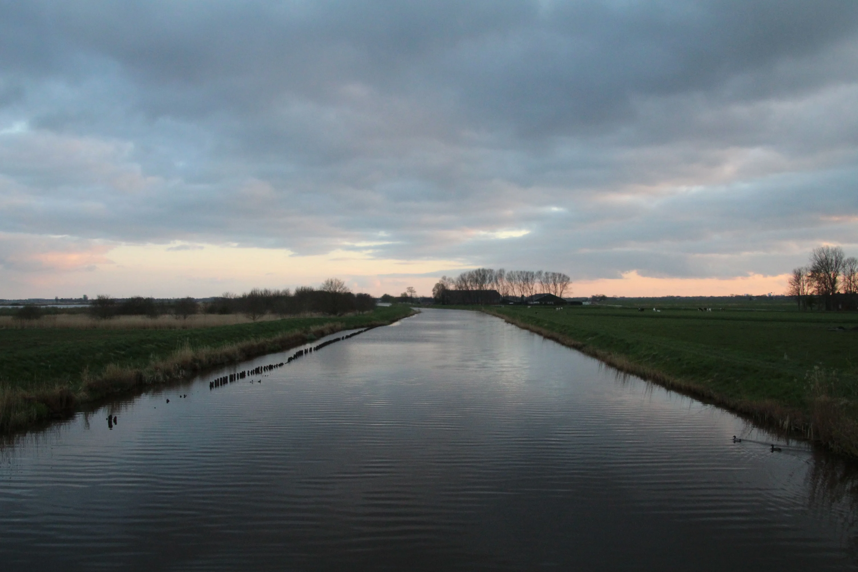 Een bewolkte zondag met hier en daar ruimte voor de zon