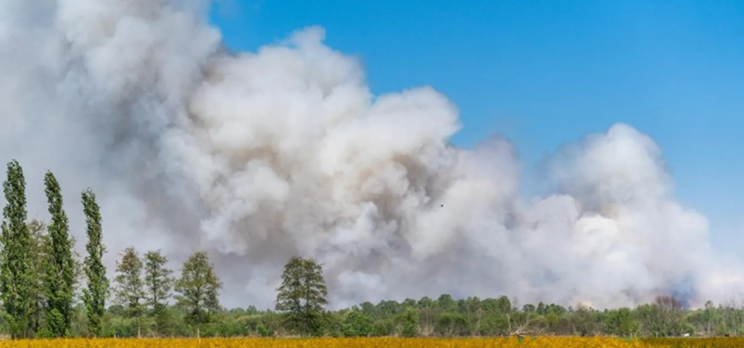 Groot alarm door veenbrand in uitgedroogd natuurgebied Mariapeel