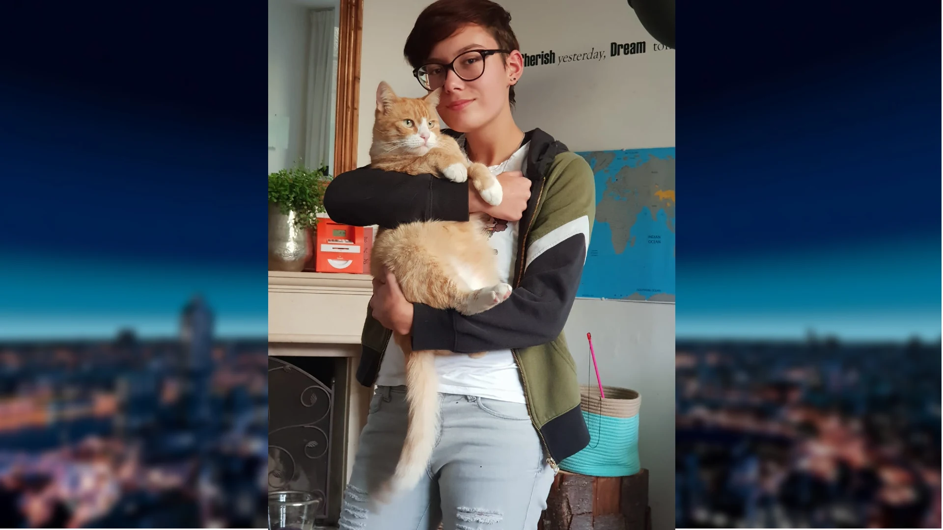 Baasje van kat die naar beneden werd getrapt op station Schagen: 'Verschrikkelijk, maar gaat goed met hem'