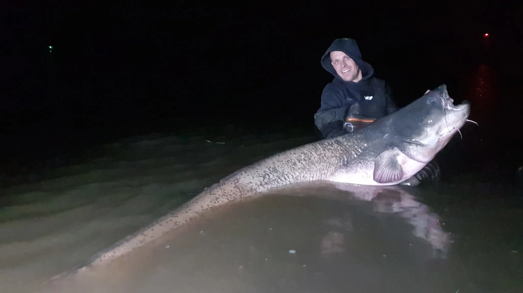 Een enorme meerval van 2,43 meter lang? Paul heeft hem gevangen, en verbreekt daarmee record