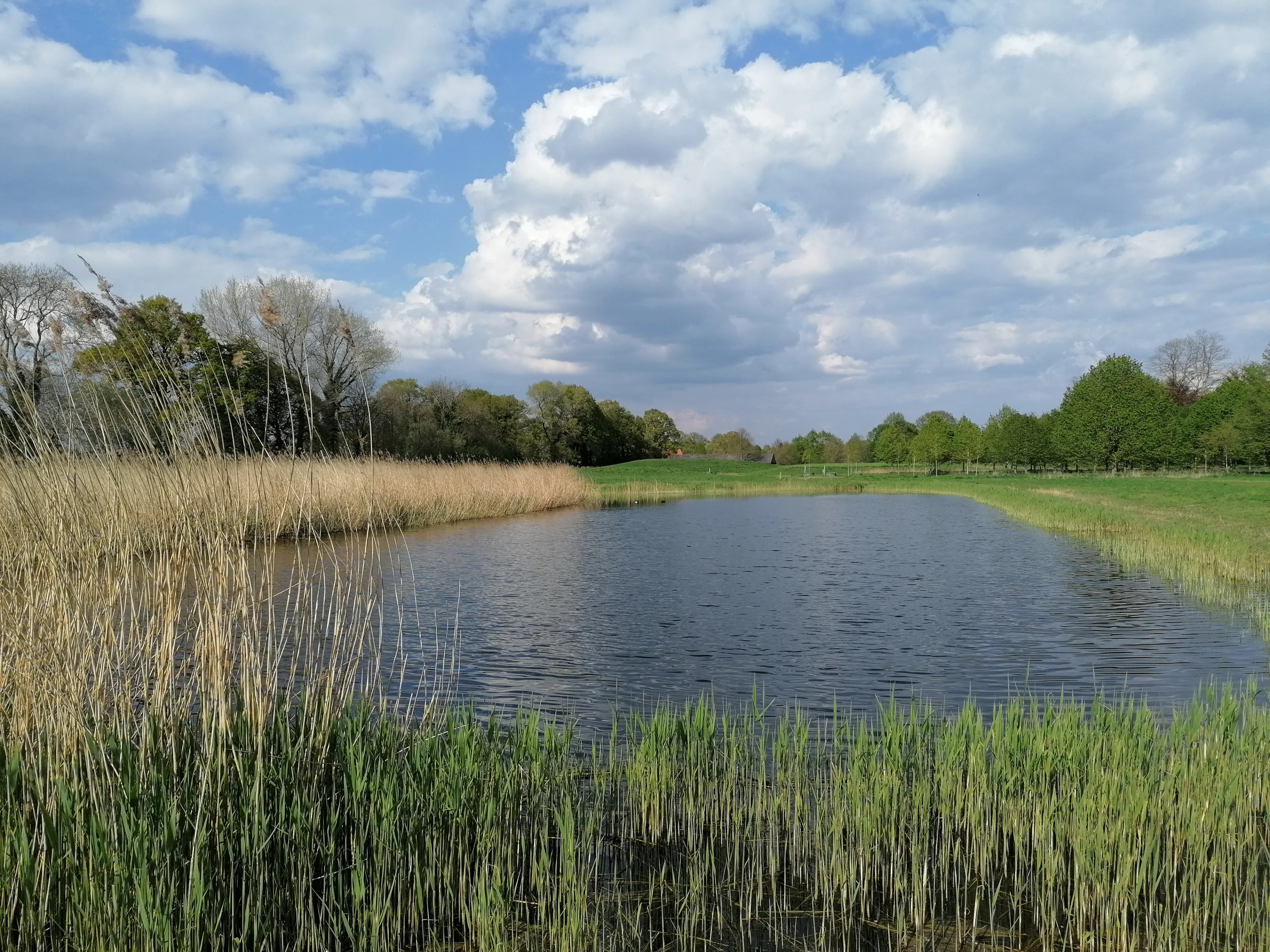 De paraplu mag vandaag nog mee, wordt het droog op Koningsdag?