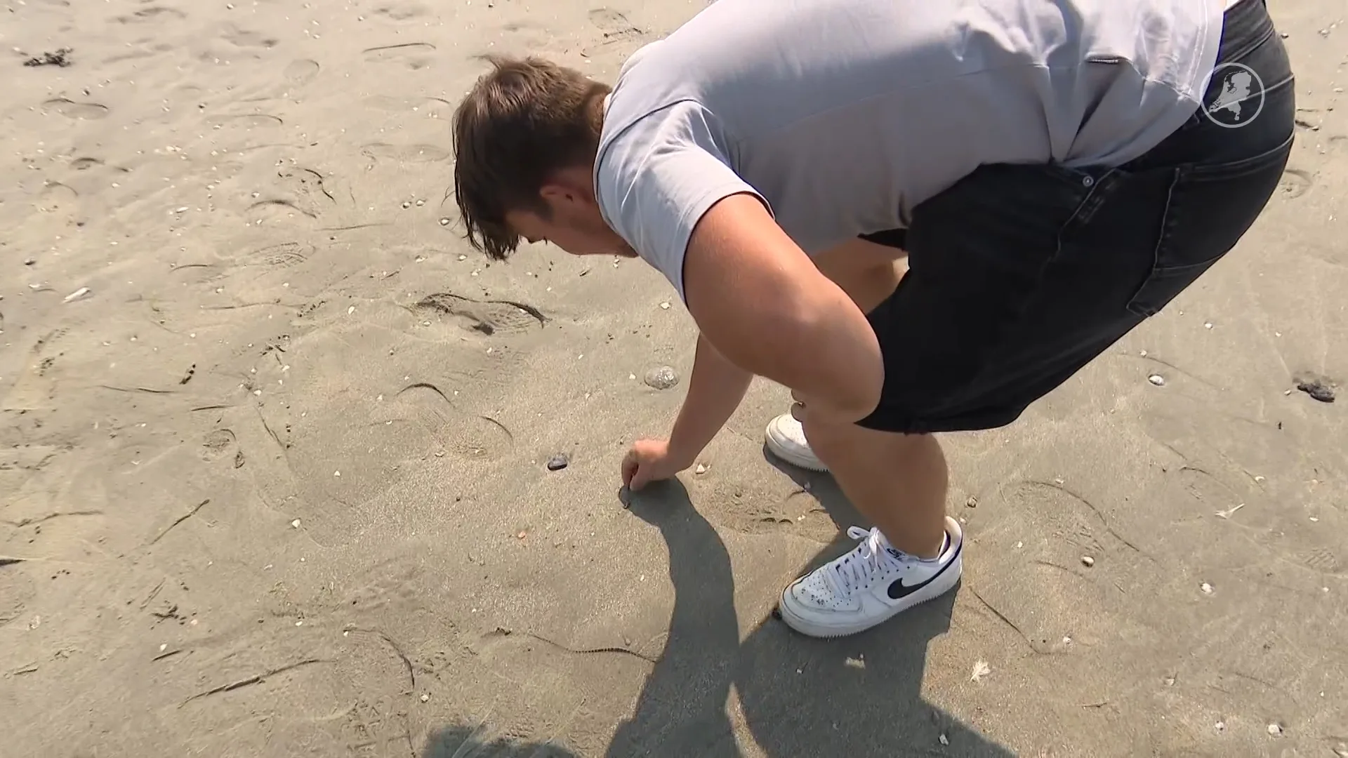 Borssele is dé plek om haaientanden te vinden: 'Heb ze ingelijst'