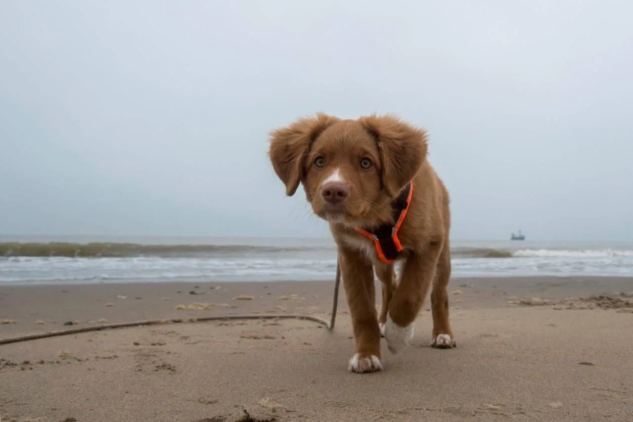 Eindelijk verandering in het weer: zon en bijzonder zachte temperaturen 