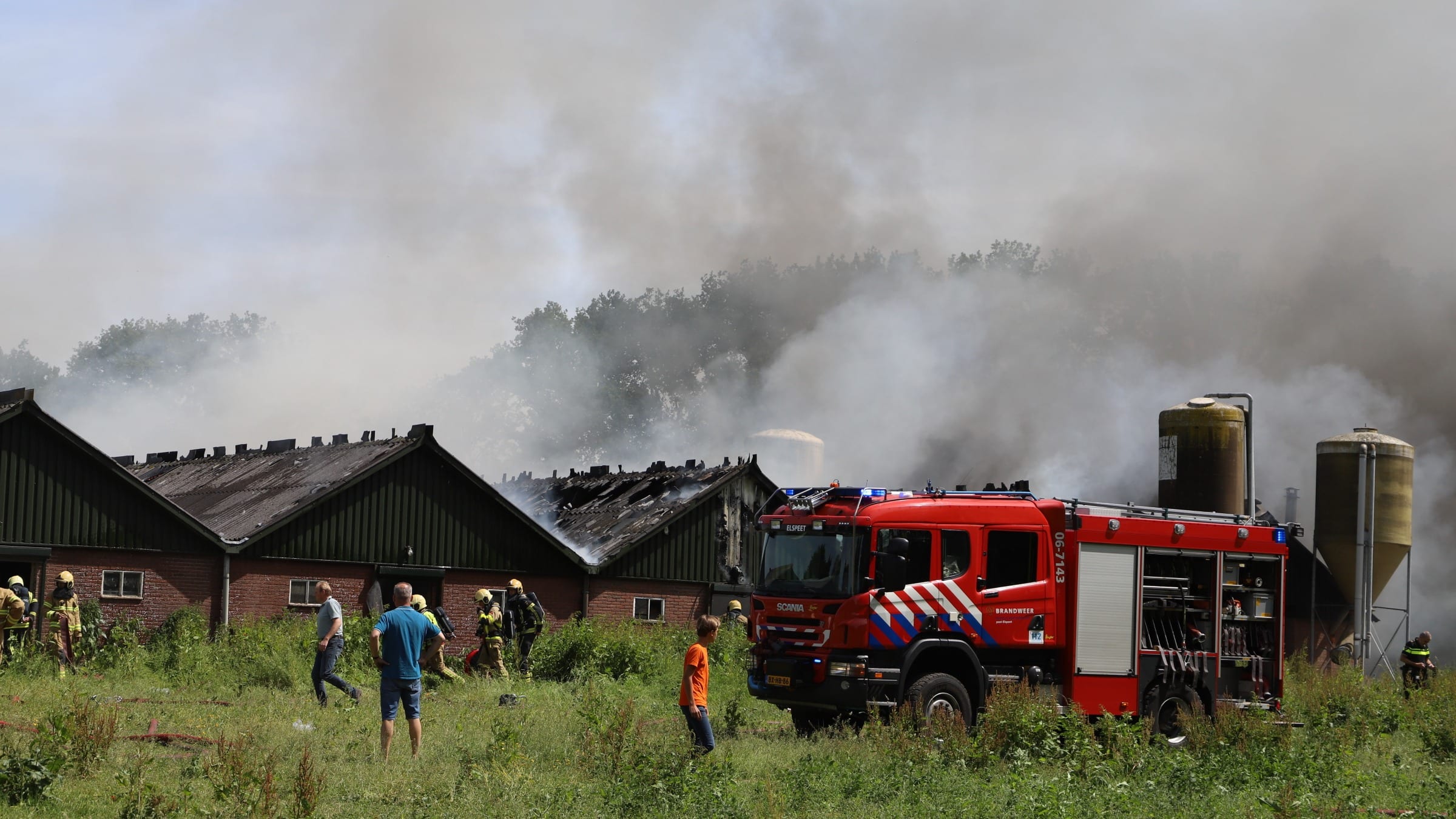 Ongeveer 250 kalveren omgekomen in vlammenzee Elspeet