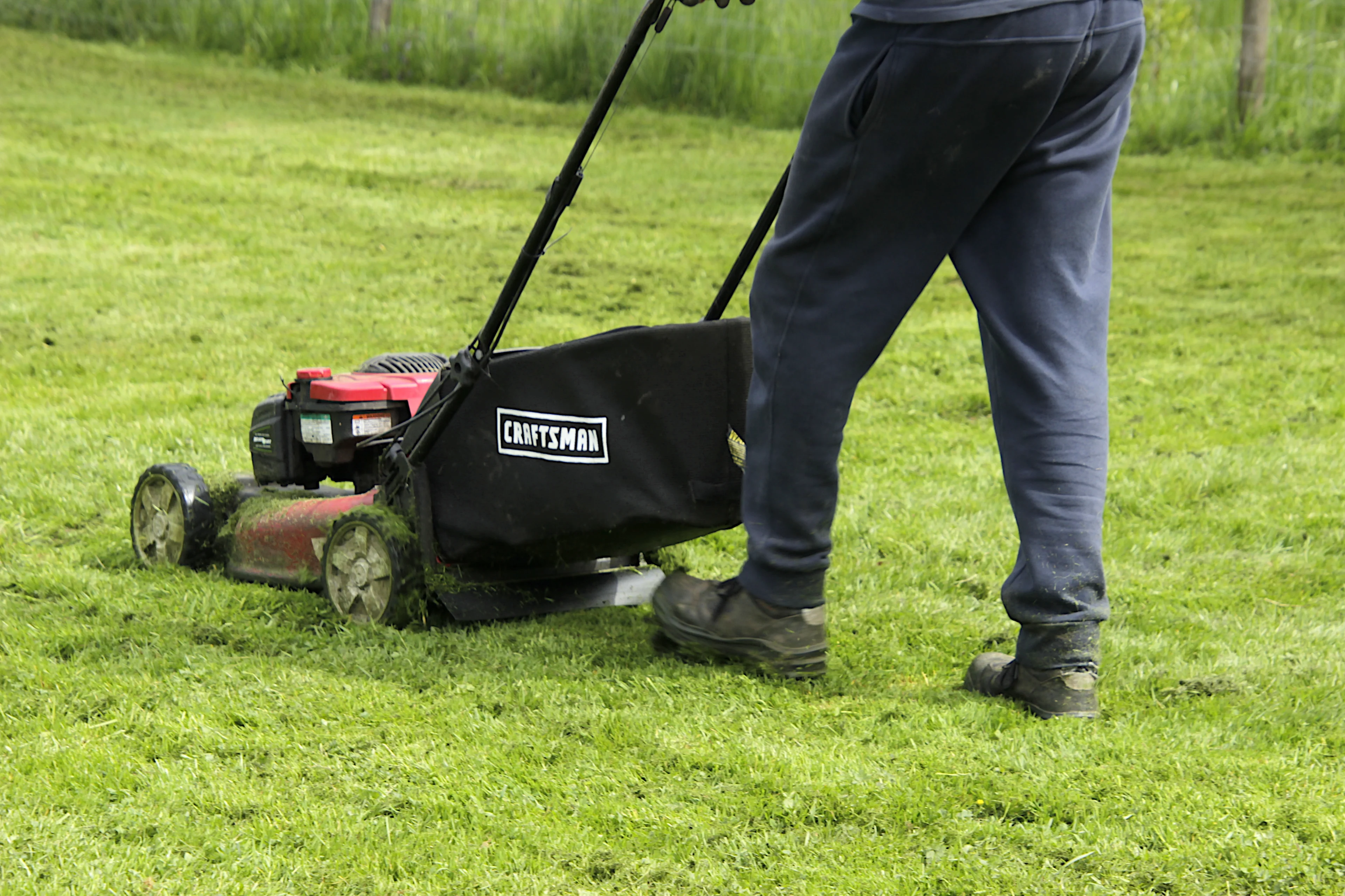 Laat je gazon lekker met rust: dit is waarom je het gras niet te kort moet maaien