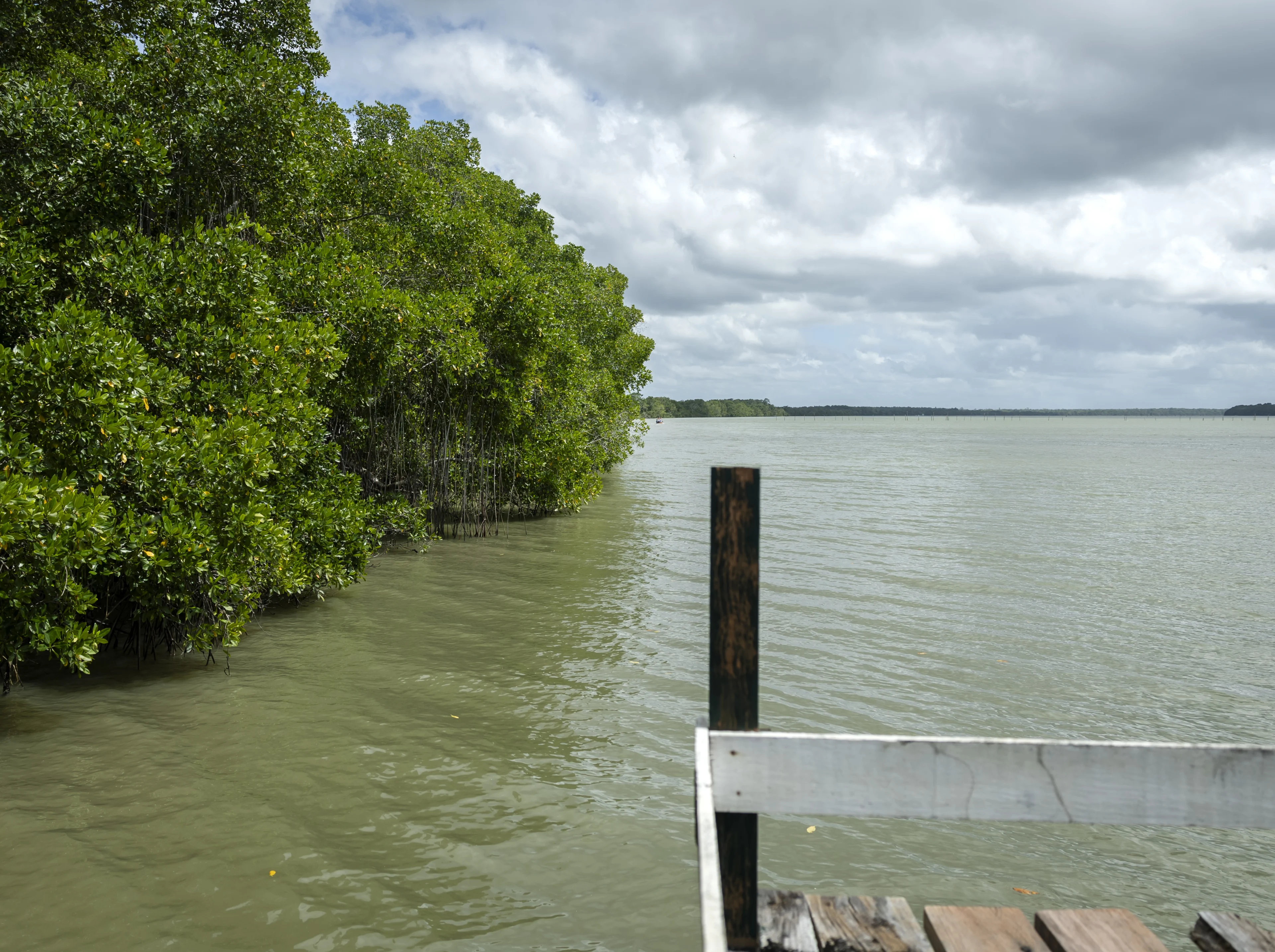 Familie ziet Nederlandse toerist verdrinken in Suriname