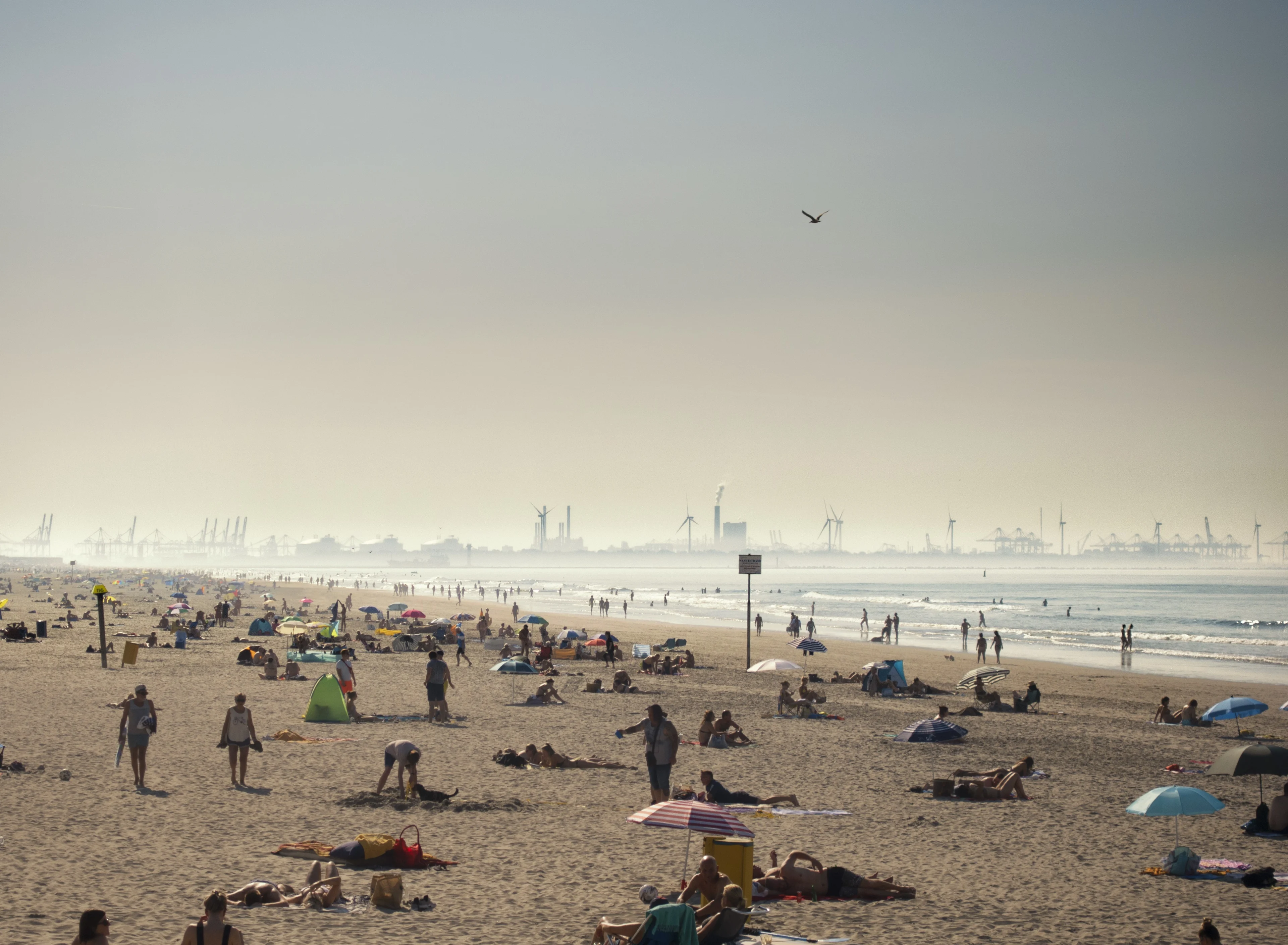 RIVM waarschuwt: vrijdag smog door hitte in heel Nederland