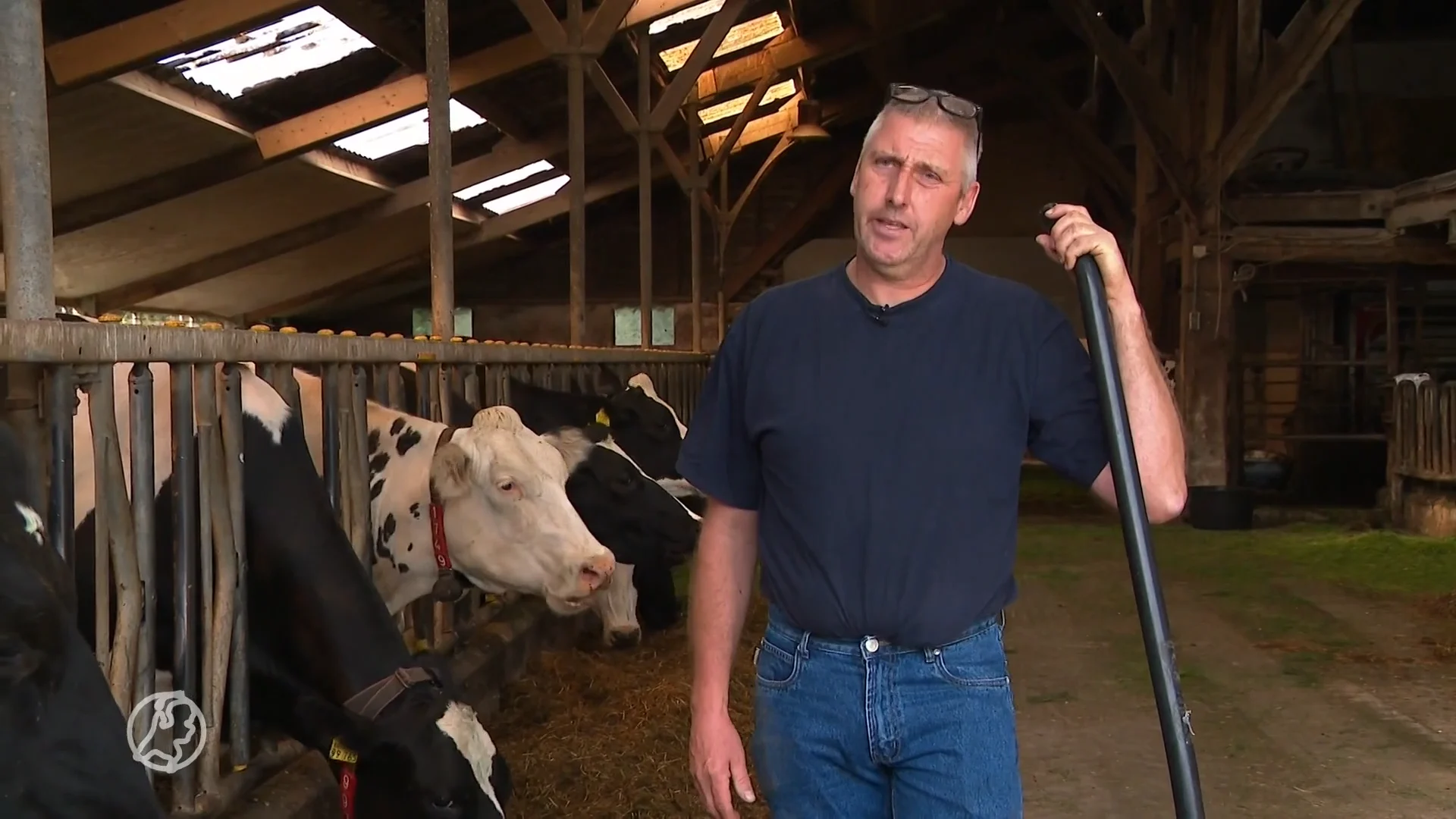 Boeren snappen niets van plannen voor onteigenen: 'We gaan ons verzetten'