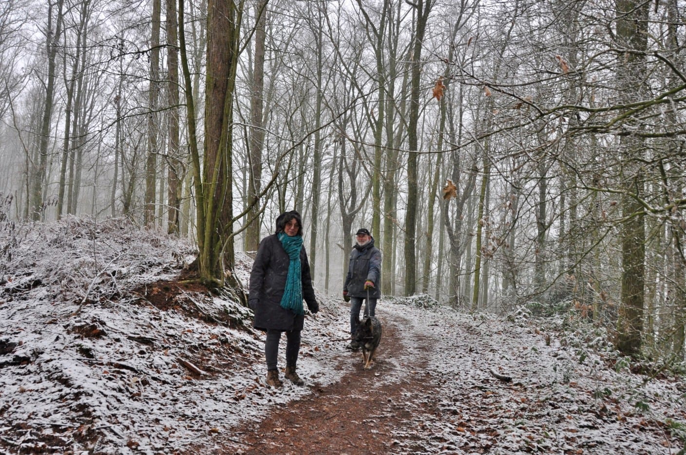 Sneeuwliefhebbers opgelet! Limburgse heuvels bedekt met pak sneeuw