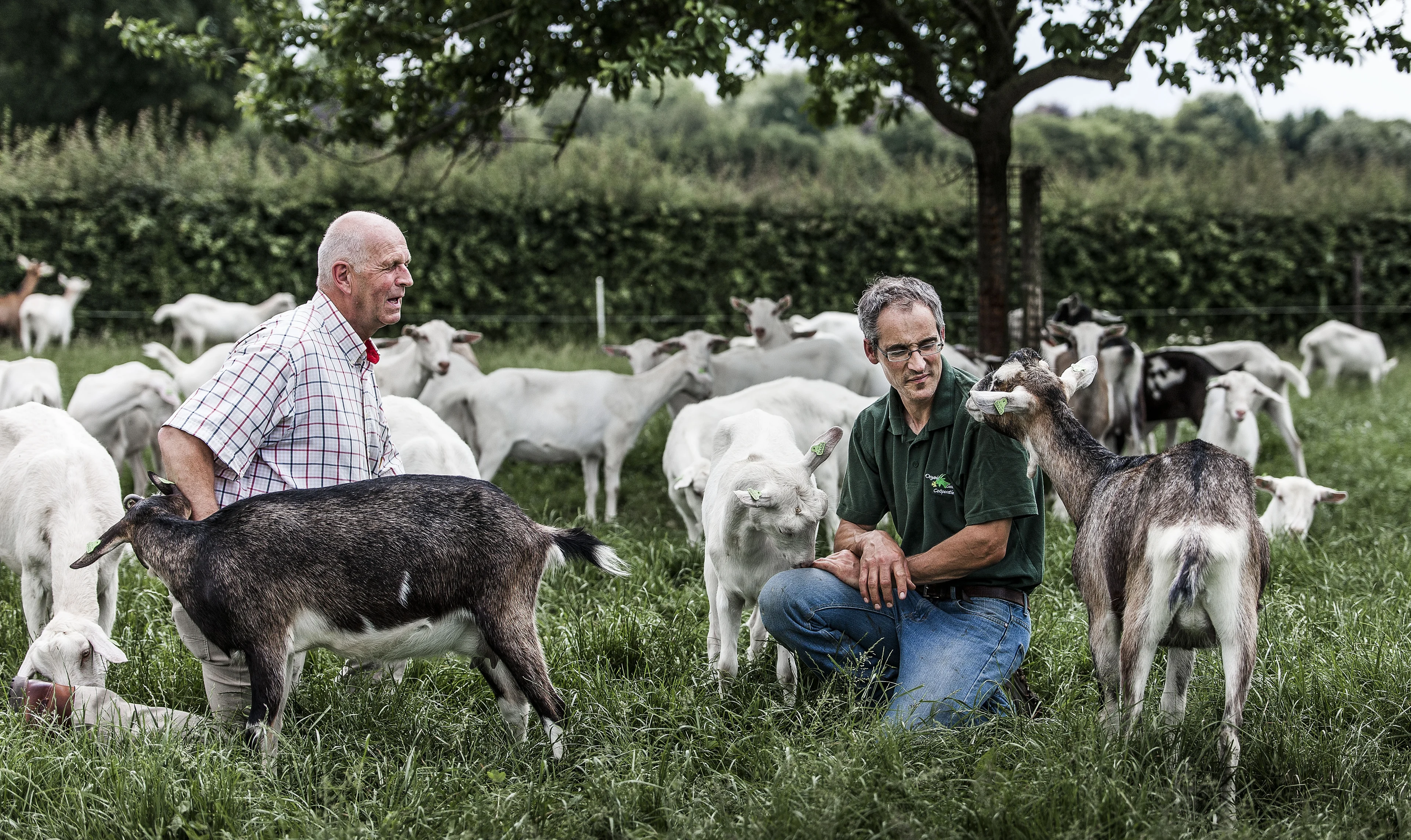 Van der Wal: biologische boeren worden mogelijk ontzien in stikstofplan