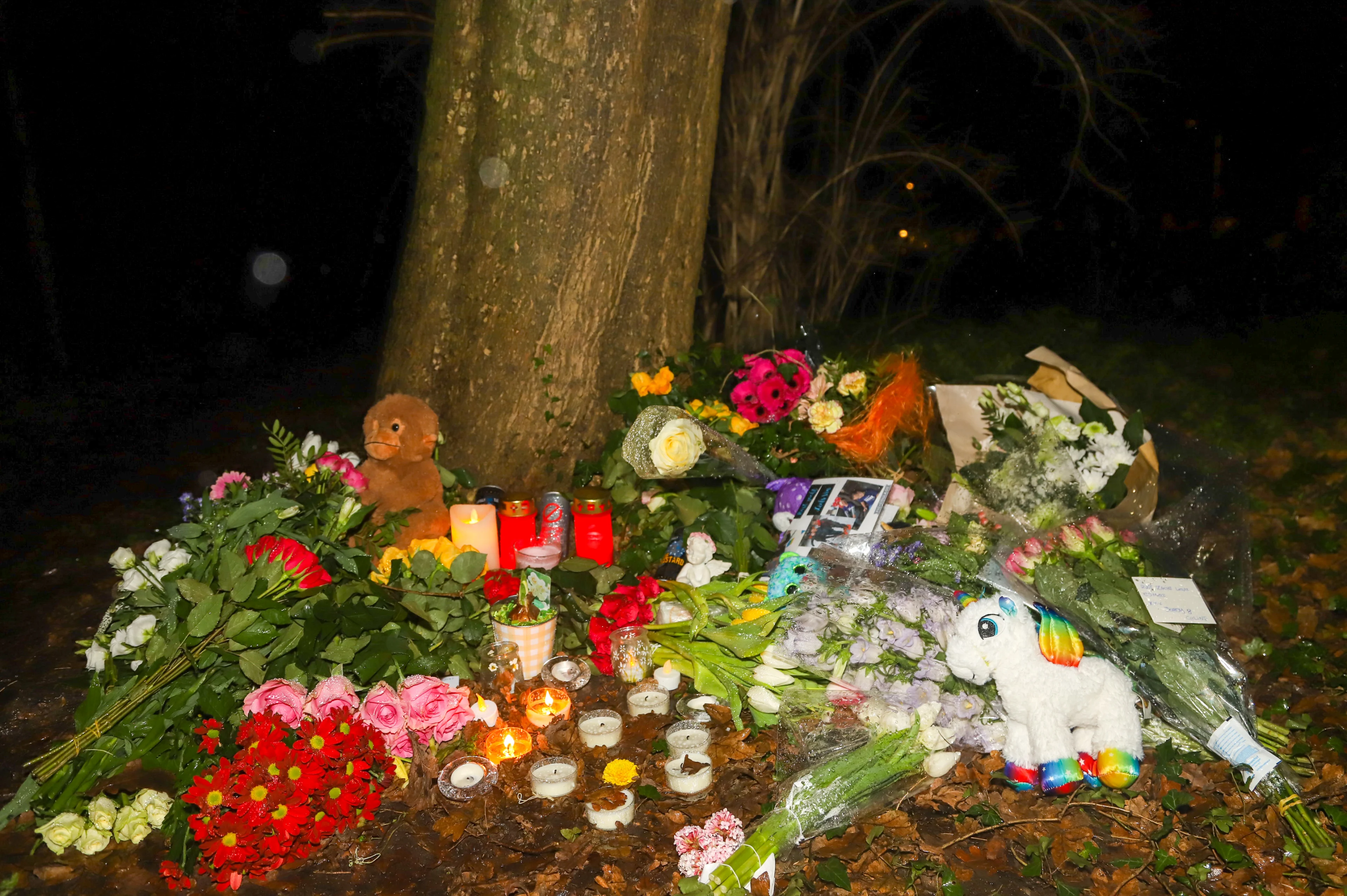 Leidse school in rouw na dood Esmee (14): 'Het doet ons veel verdriet'