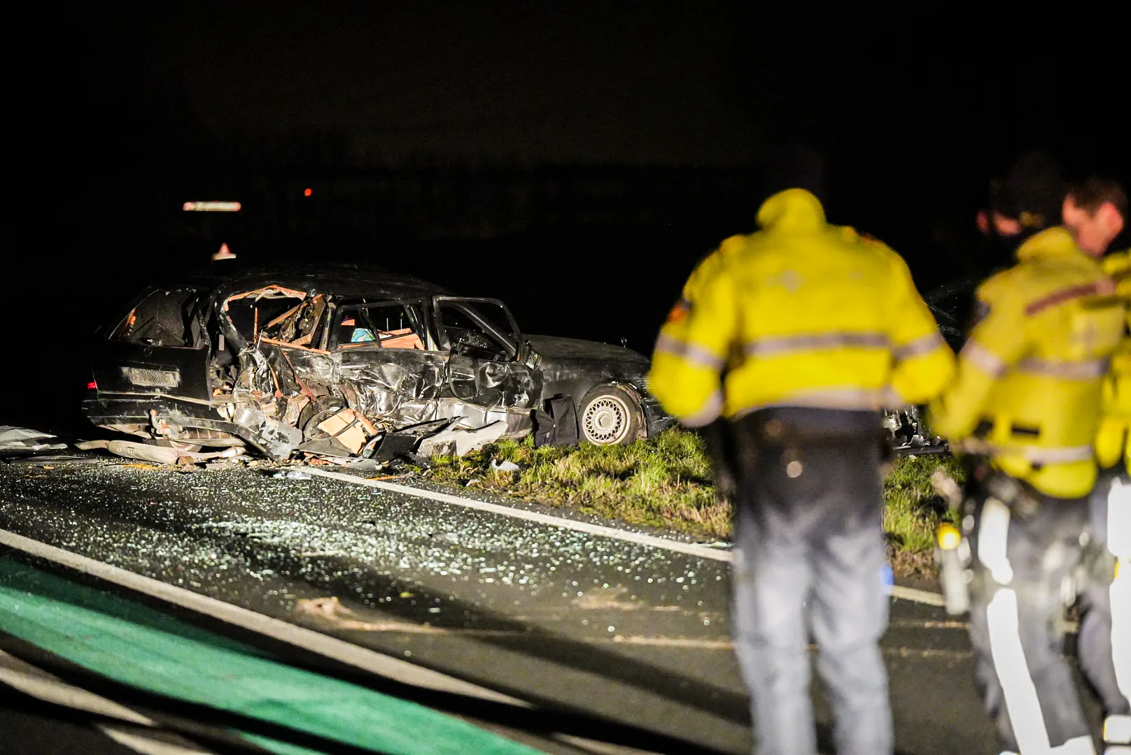 Twee honden dood en drie mensen gewond na ongeval op N332