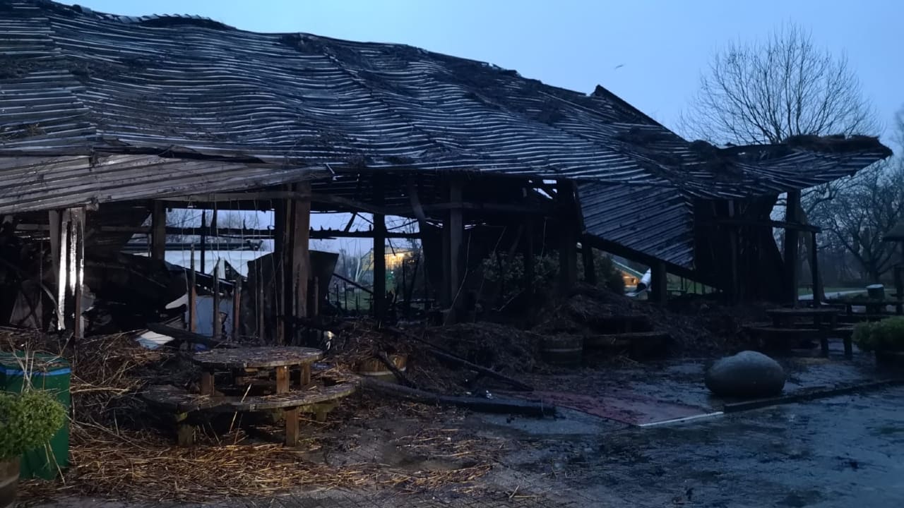 Politie pakt minderjarige jongens op voor brand Plaswijckpark Rotterdam