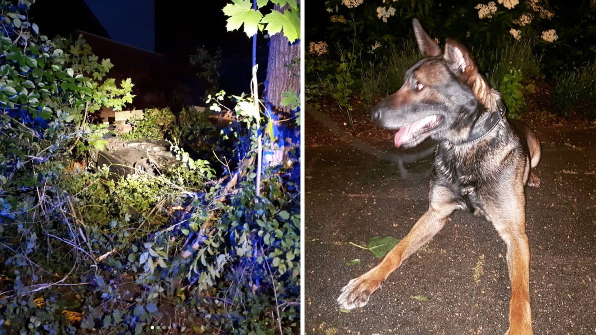 Stalkende man crasht auto na wilde politieachtervolging, klimt uit het raam en verstopt zich