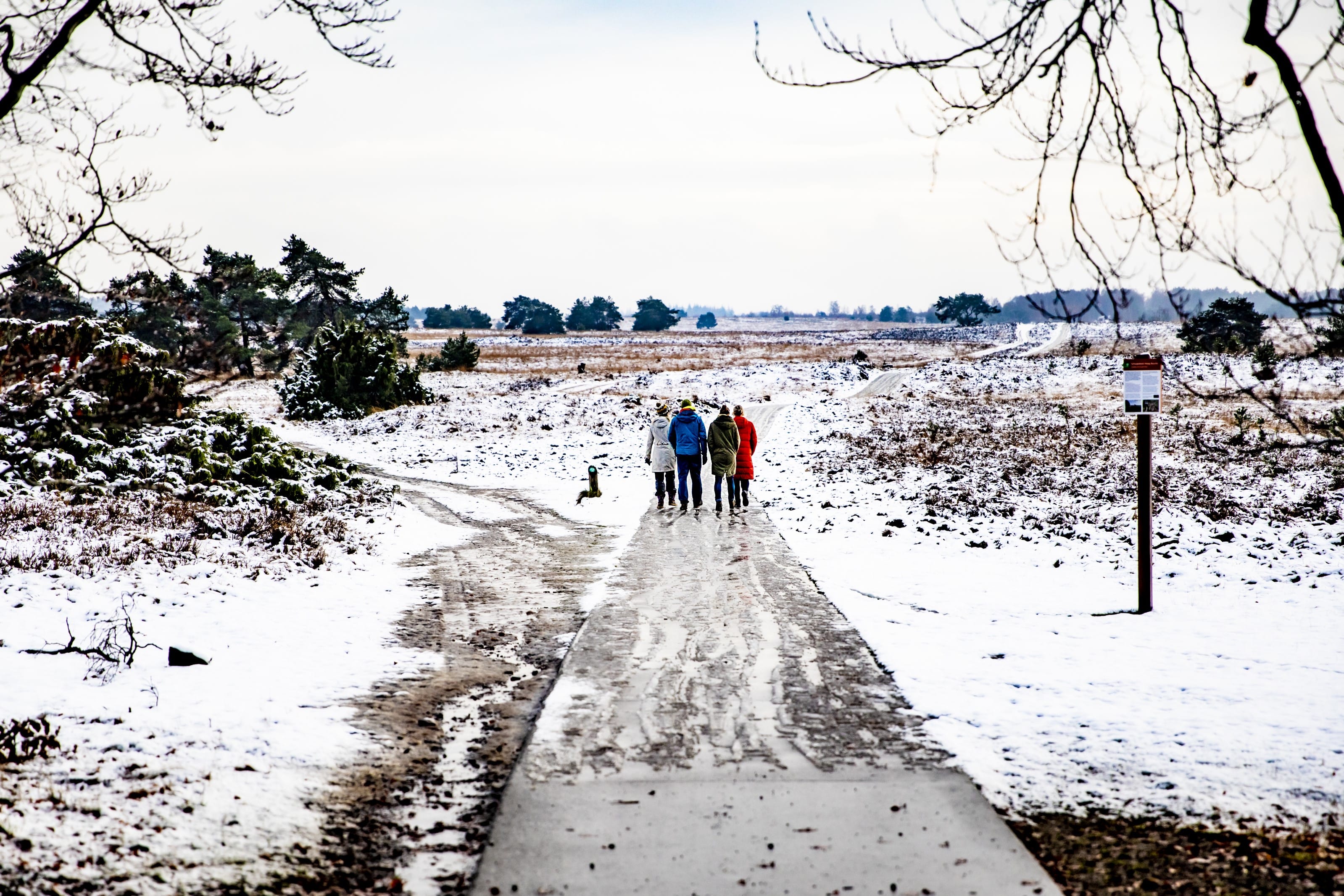Winter wonderland op de Veluwe: 'Kom maar door met die Elfstedentocht!'