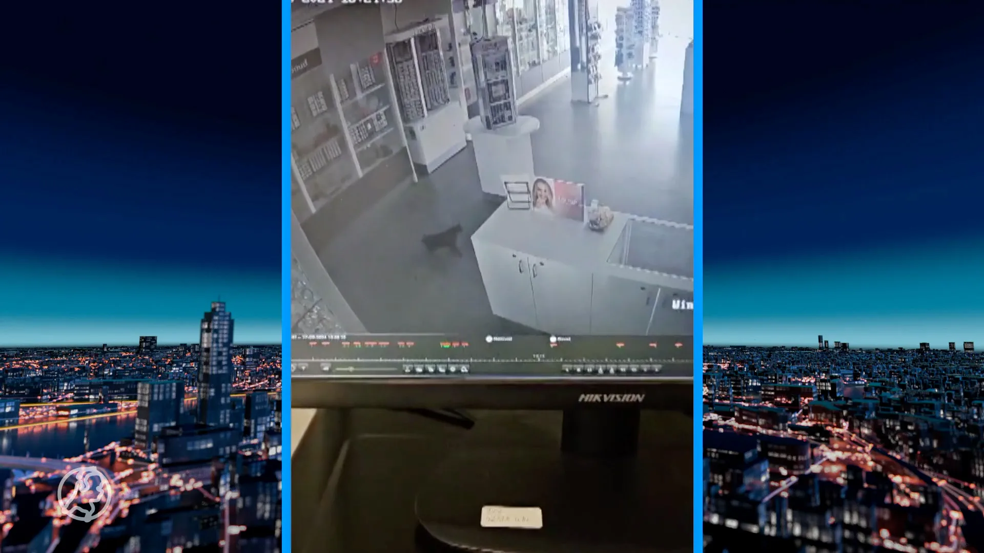 Harige inbreker valt binnen bij juwelier