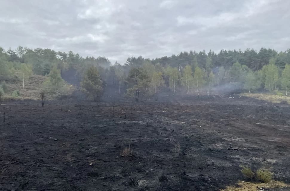 Grote natuurbrand Brunssumerheide onder controle, kinderkamp ontruimd
