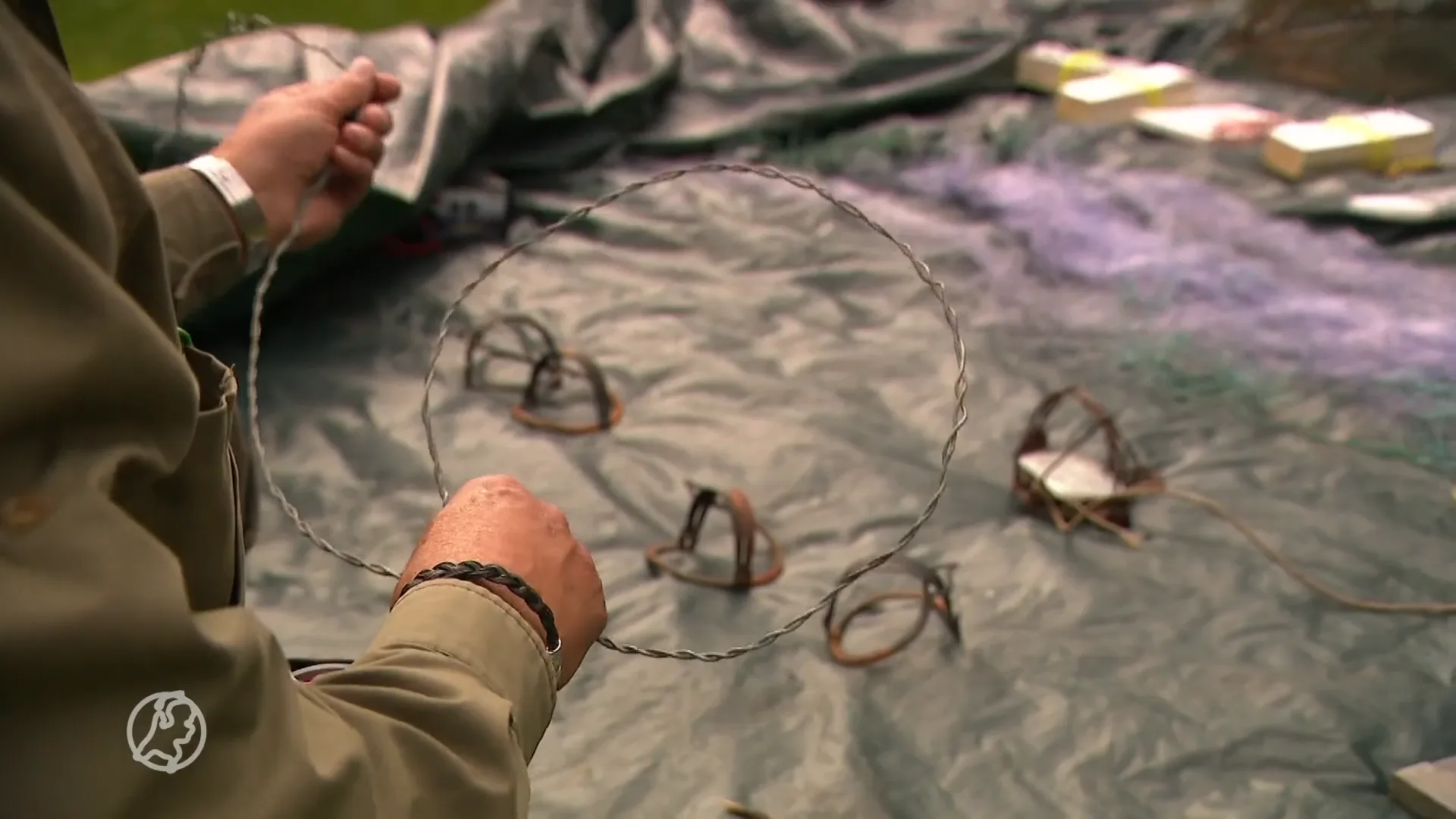 Brabant strijdt tegen de oprukkende wildstropers: 'Zoek niet zelf de confrontatie'