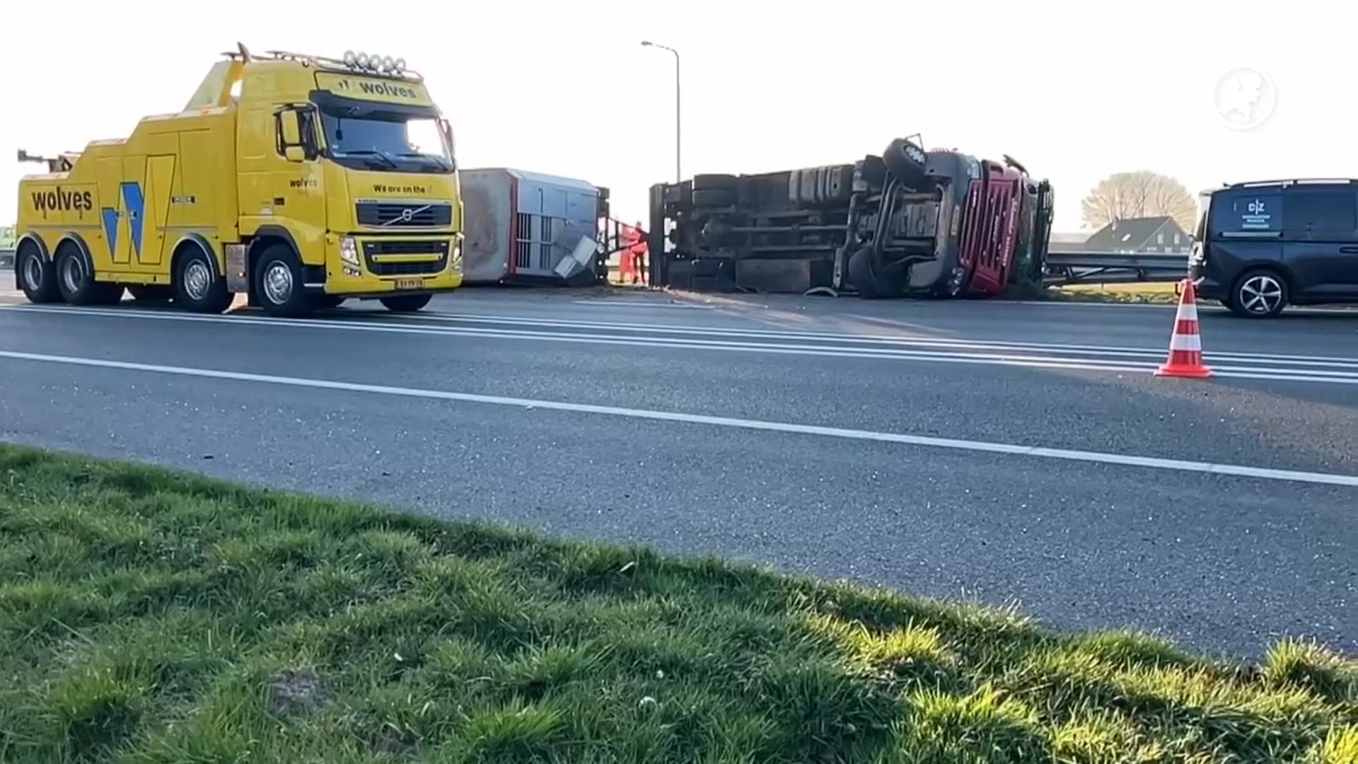 A18 dicht door vrachtwagenongeluk met koeien