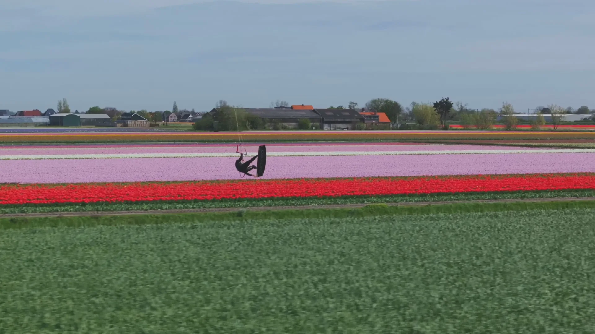 Prachtige plaatjes: kitesurfer Stig zweeft boven de Hollandse tulpenvelden