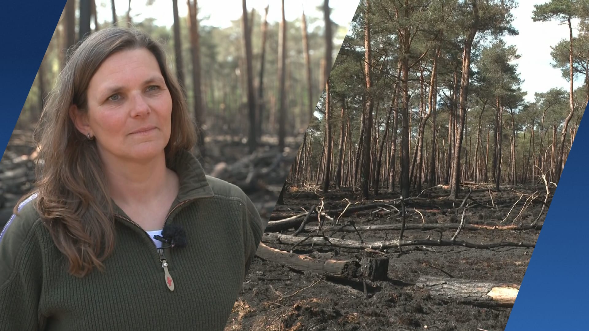 Boswachter toont schade na verwoestende brand in Drunen: 'Je wordt er verdrietig van'