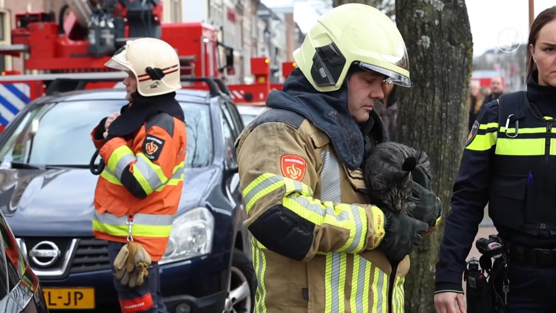 Kat en hond gered uit brand in Leeuwarden