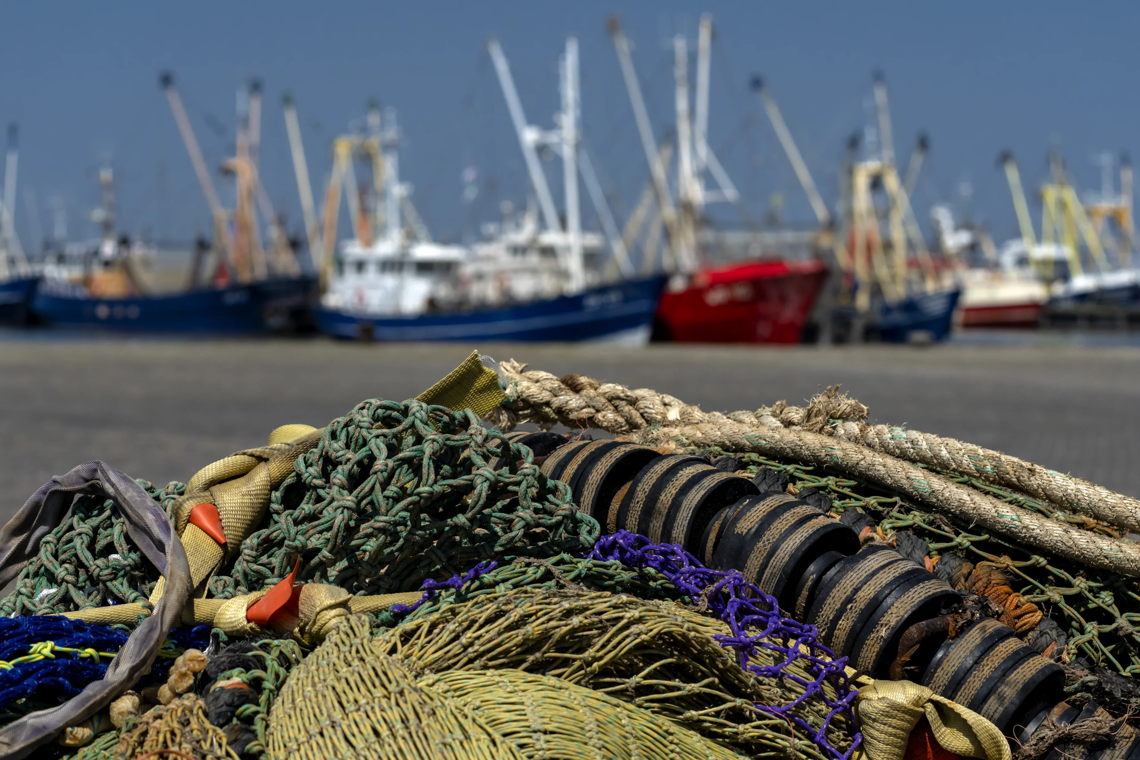 Oorbel van Wieringer visser na 23 jaar weer boven water
