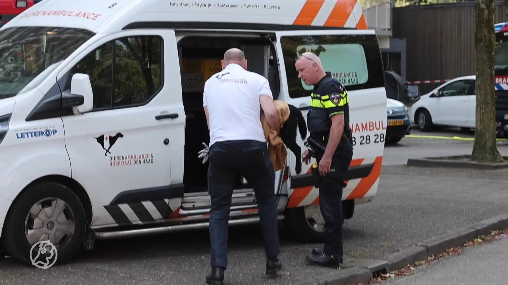 Hond komt om het leven bij flatbrand in Zoetermeer