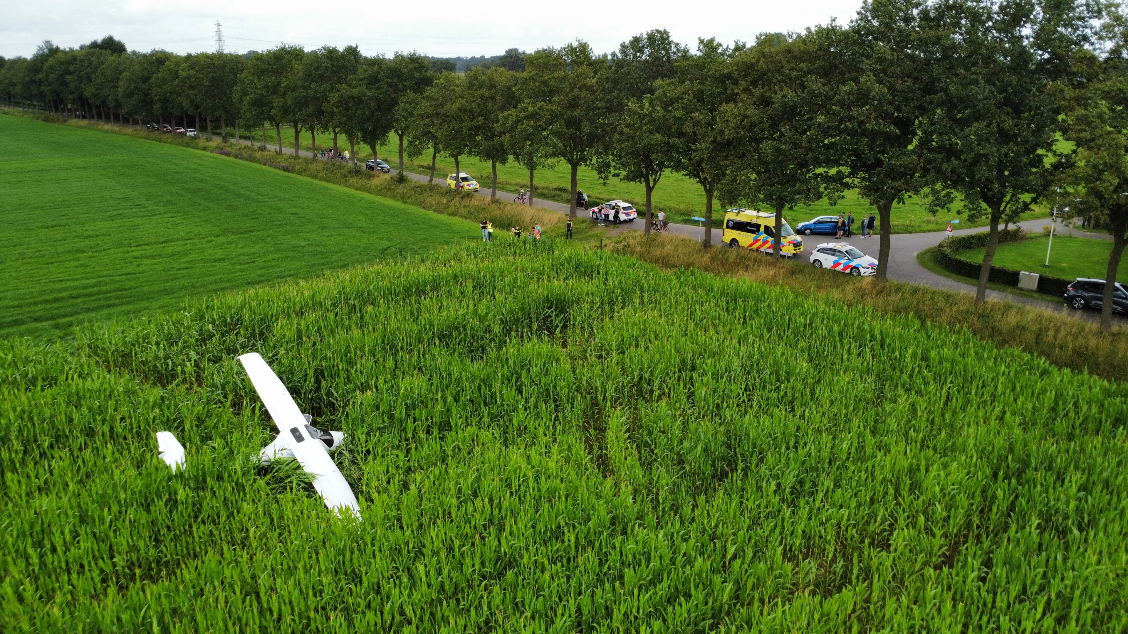 Piloot (28) in opleiding belandt in enorm maisveld na noodlanding