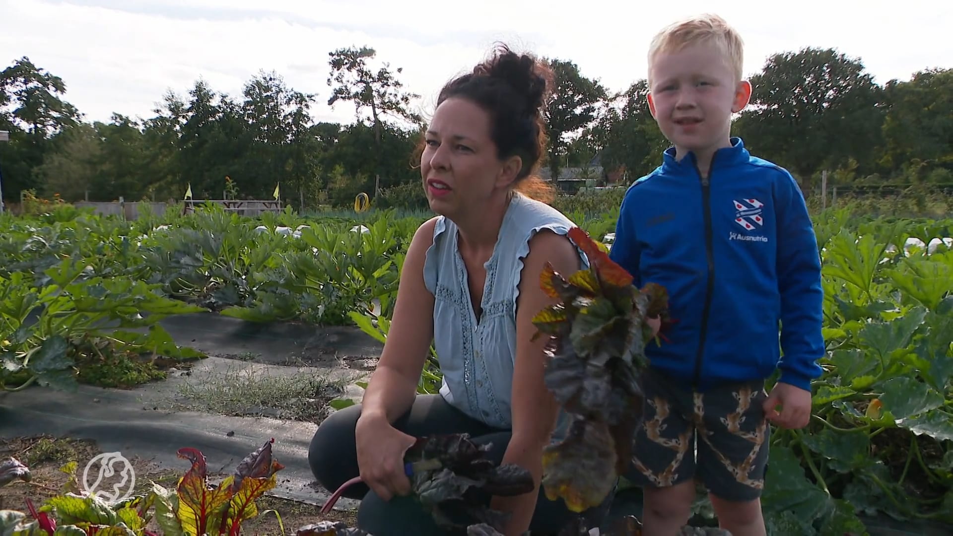 Gratis groenten voor mensen die niet rondkomen, 'maar die moet je wel zelf oogsten'