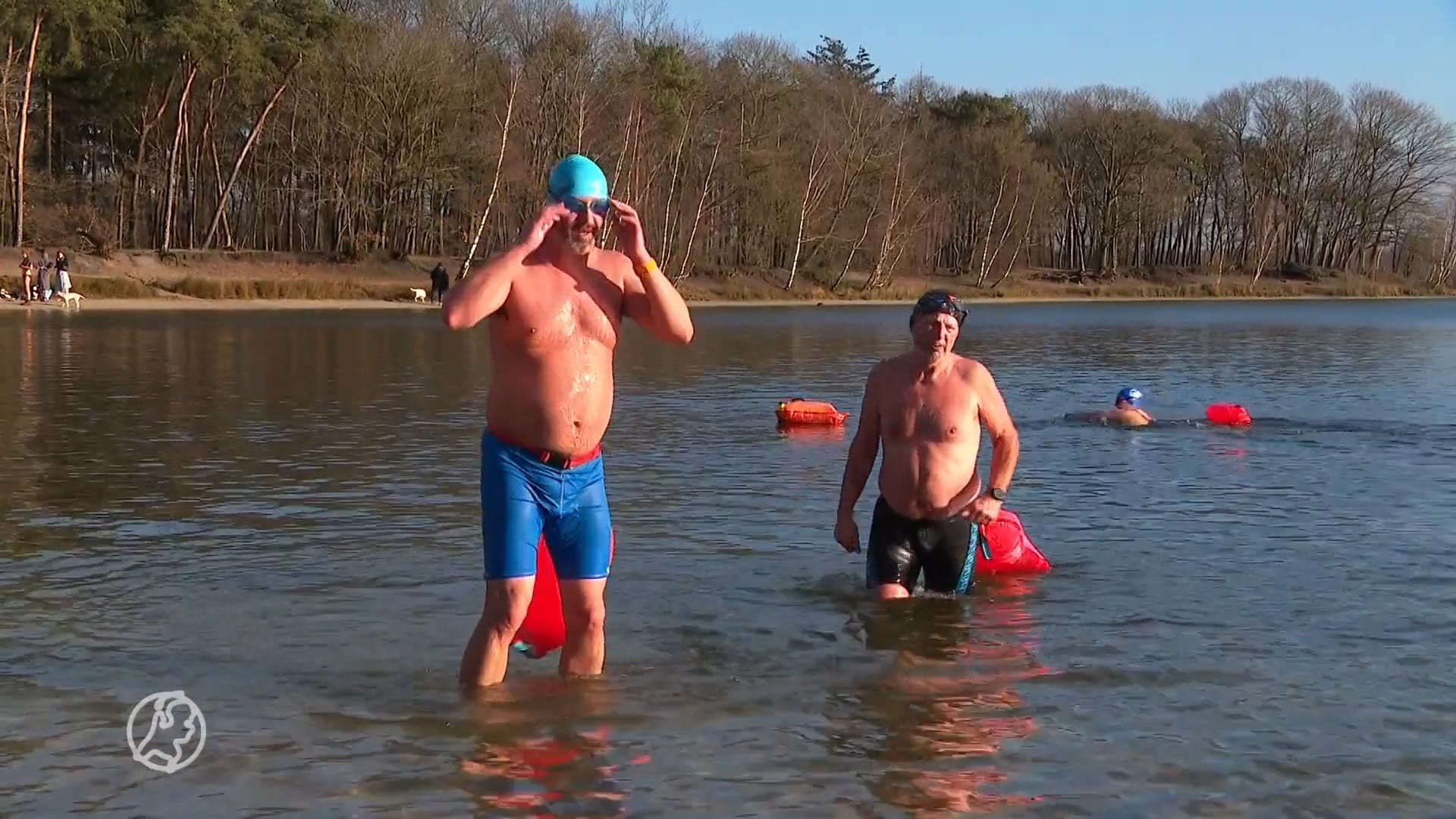 IJszwemmen is booming: 'We zijn van twee naar veertig leden gegaan'