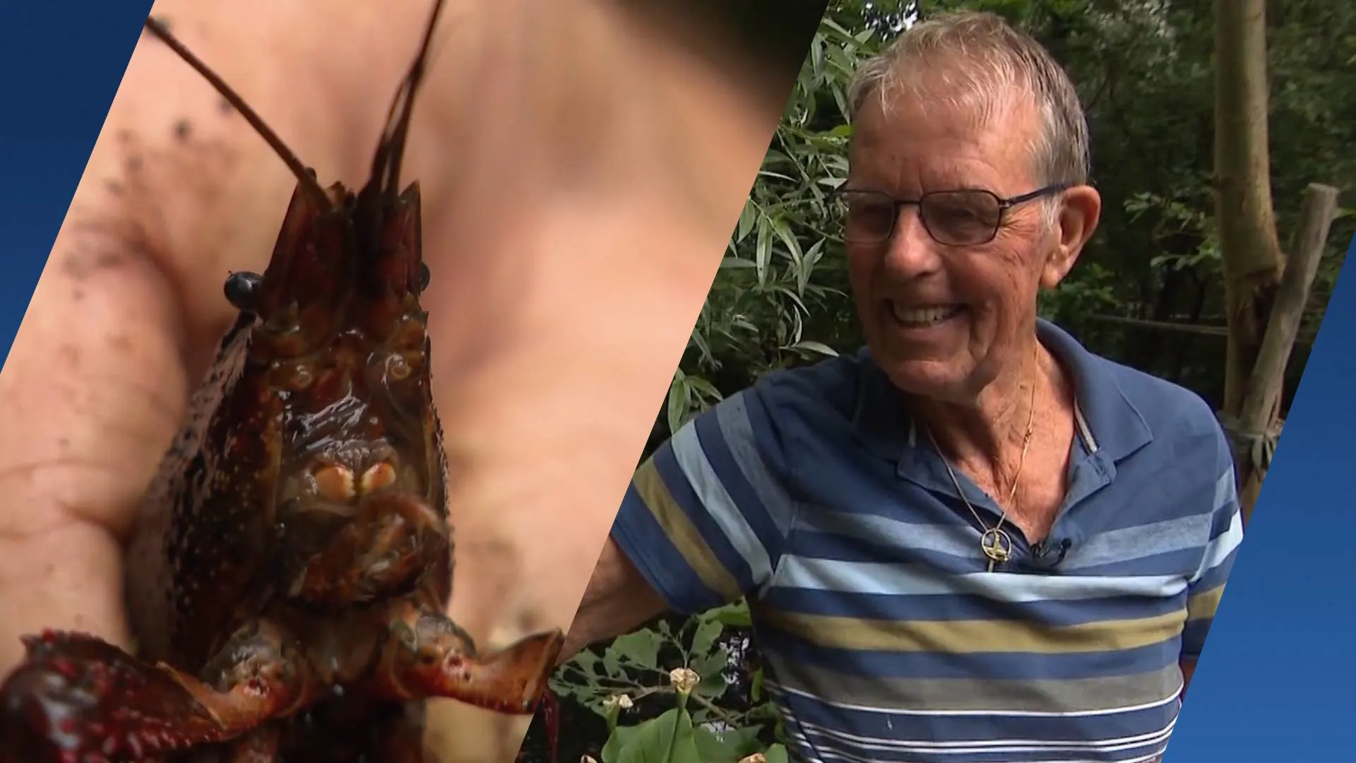 Leo (81) bedacht zijn eigen rivierkreeftenval: ‘Ik heb er al duizenden gevangen’