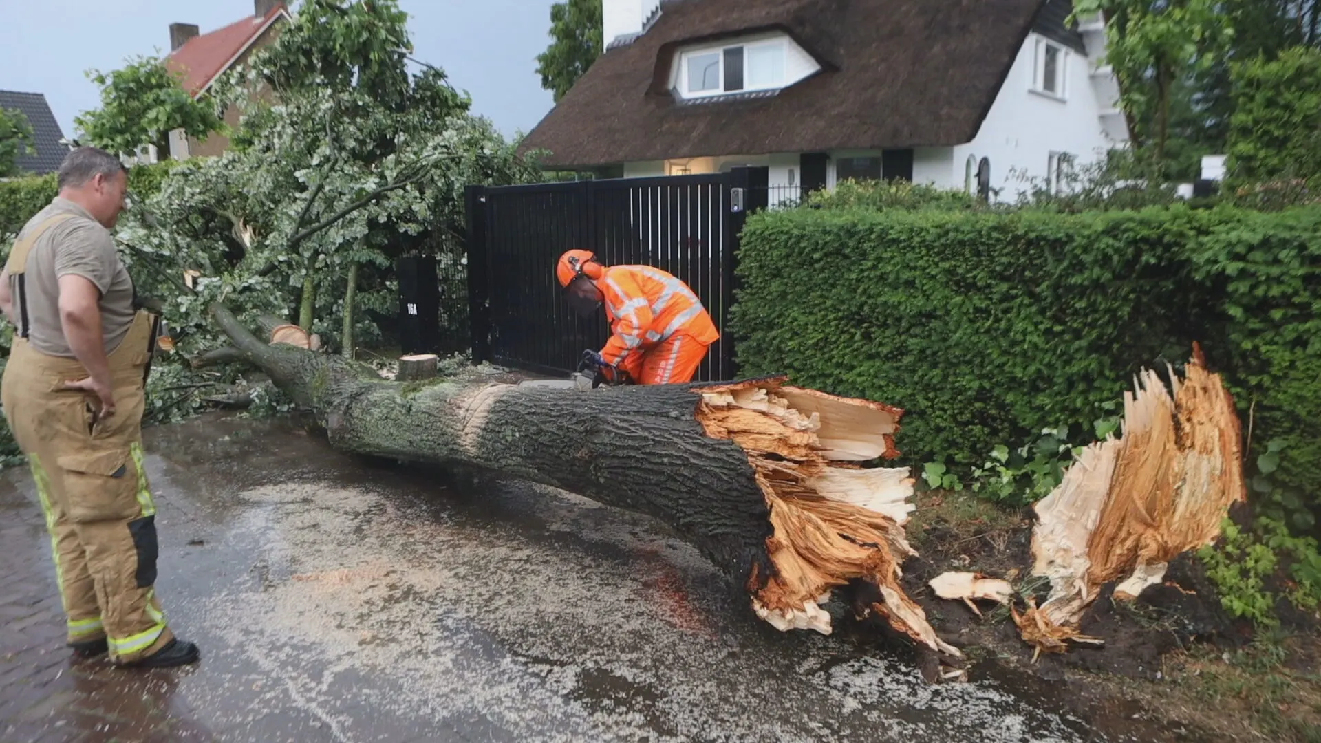 Onweer houdt huis in Nederland: bomen uit de grond gerukt en overstromingen