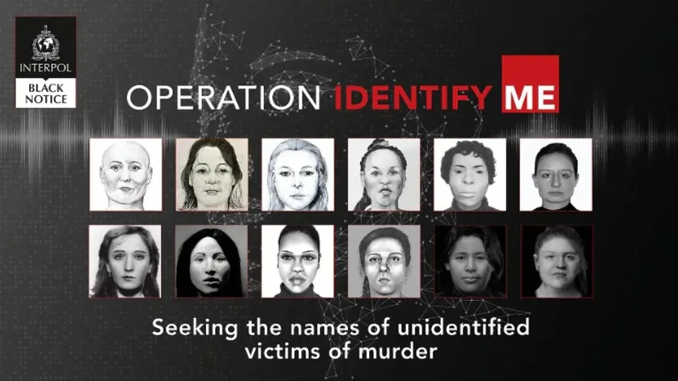 Nederlandse Politie krijgt door campagne 150 tips over vermoorde vrouwen